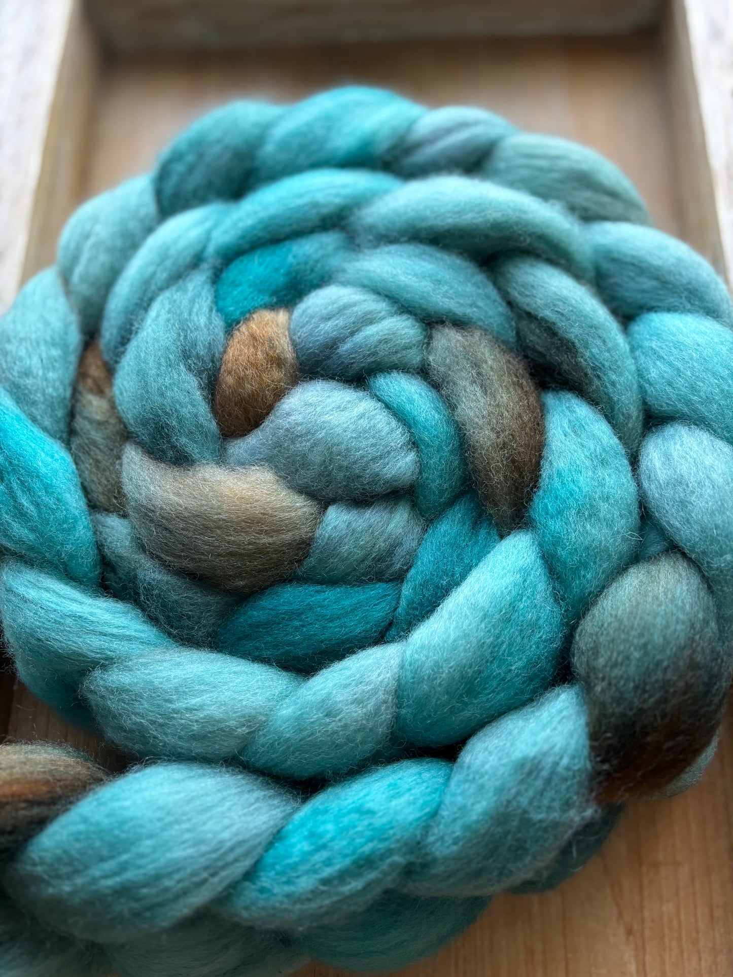 One of a Kind Batch - 100 grams of Spinning Fibre - Bluefaced Leicester Wool - 26 Micron - Hand Dyed Combed Top