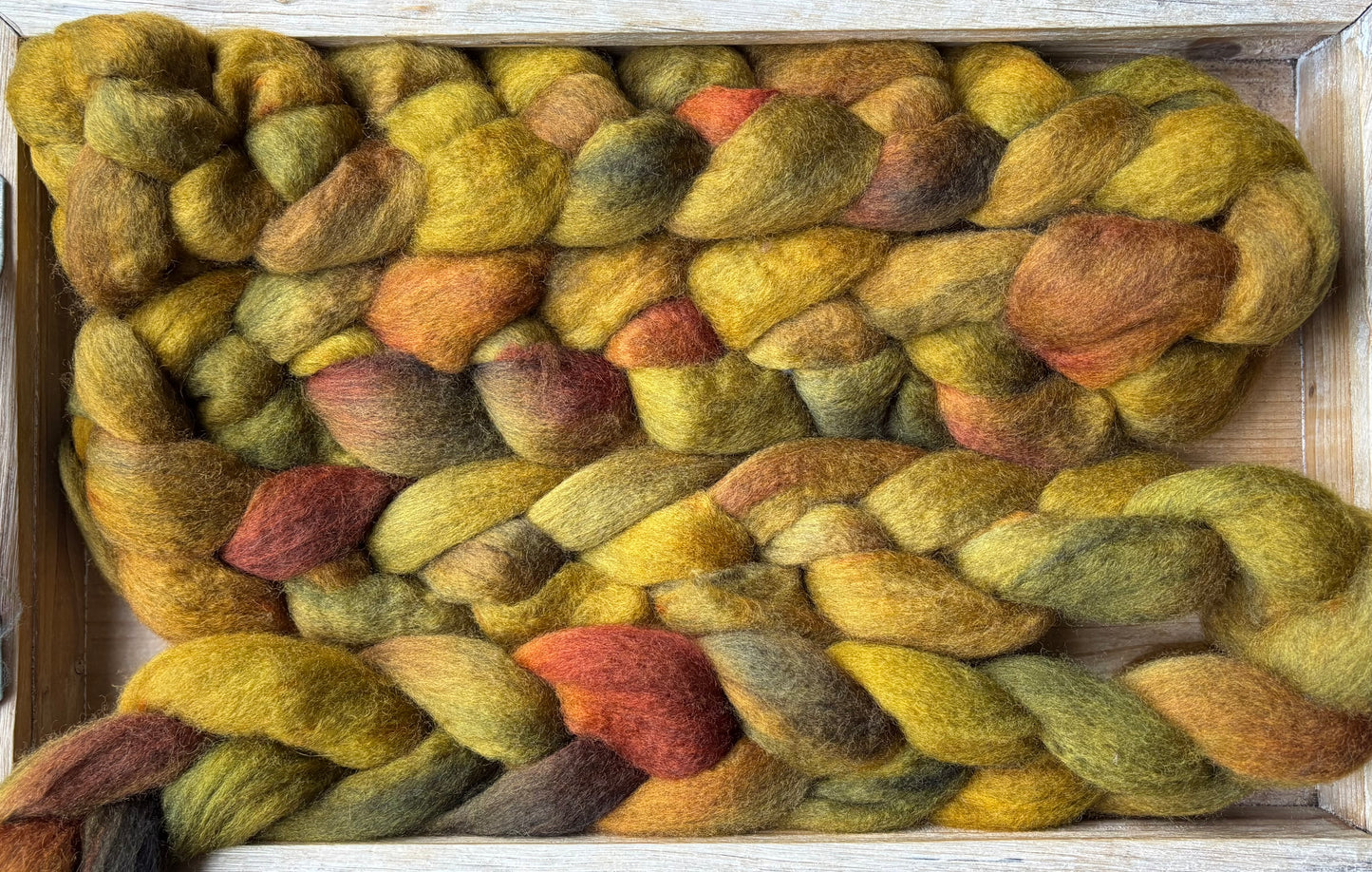 One of a Kind Batch - 100 grams of Spinning Fibre - Bluefaced Leicester Wool - 26 Micron - Hand Dyed Combed Top