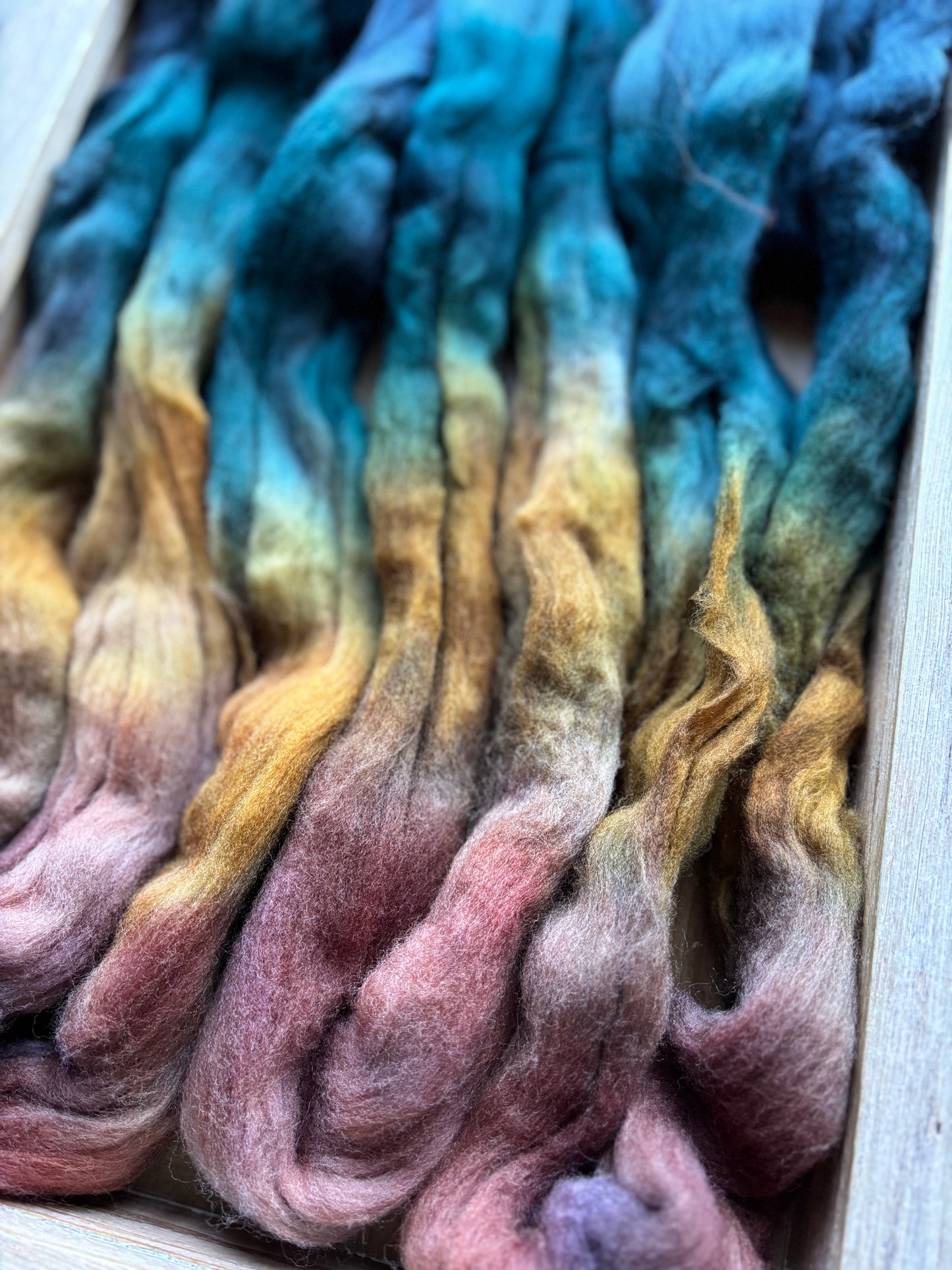 One of a Kind Batch - 100 grams of Spinning Fibre - 100% Targhee - 23 Micron - Hand Dyed Combed Top