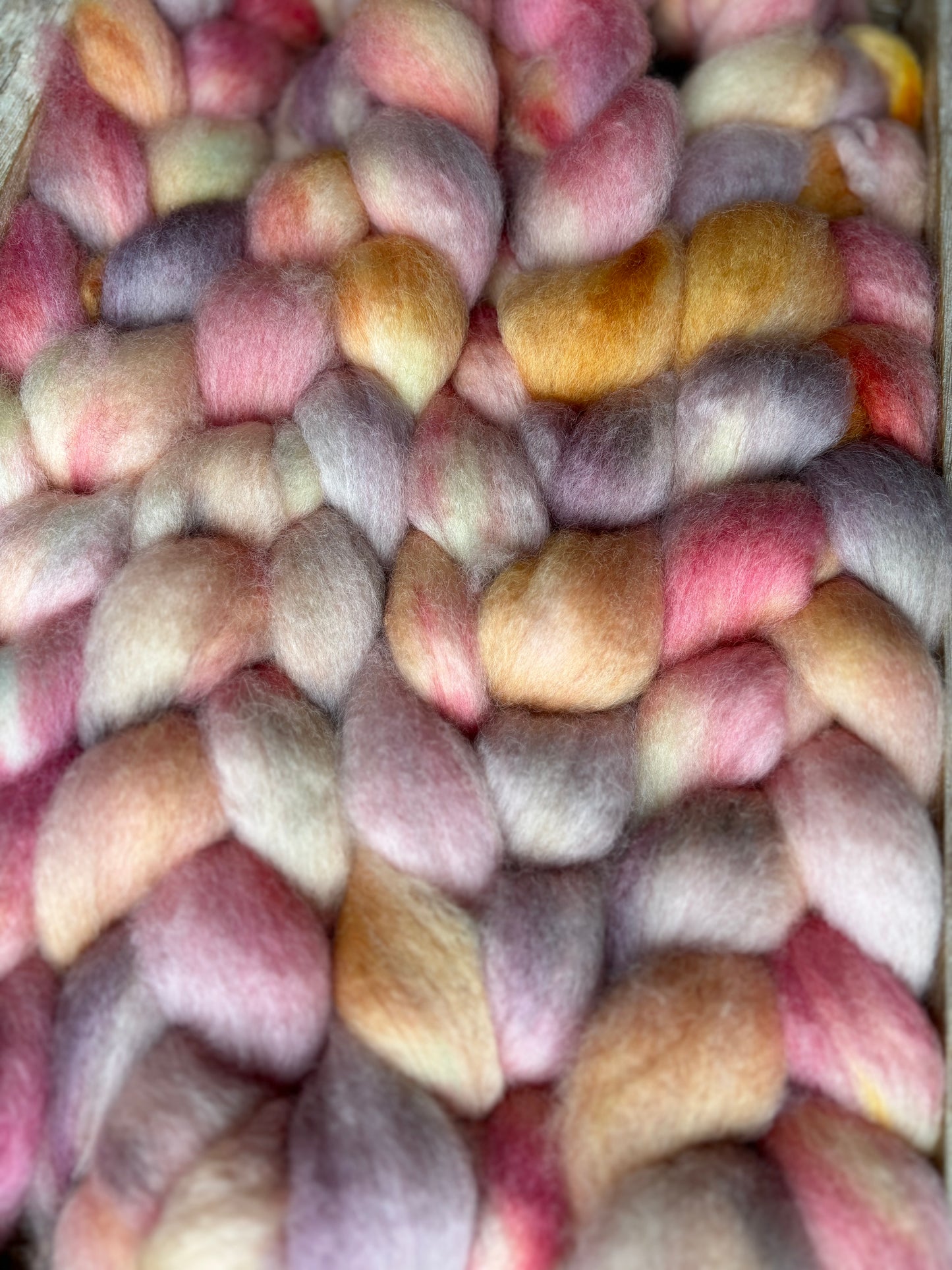 One of a Kind Batch - 100 grams of Spinning Fibre - Bluefaced Leicester Wool - 26 Micron - Hand Dyed Combed Top