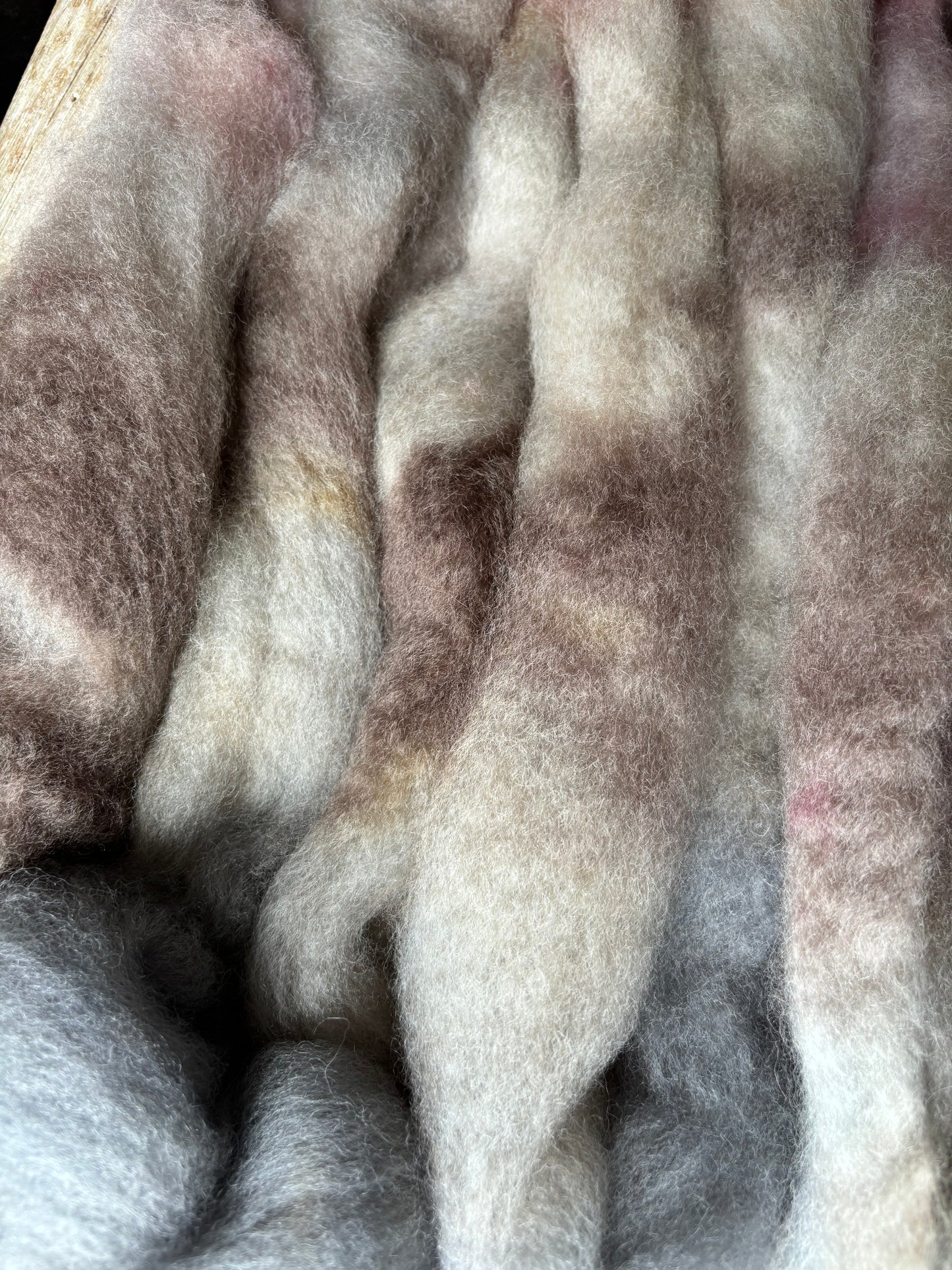 One of a Kind Batch - 100 grams of Spinning Fibre - Bluefaced Leicester Wool - 26 Micron - Hand Dyed Combed Top