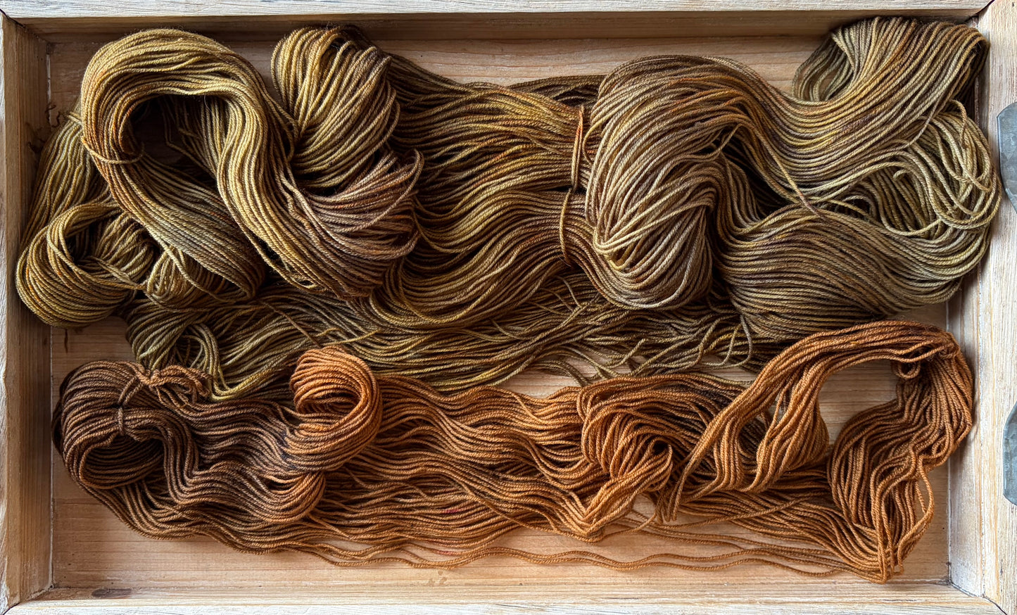 Perfect Pair Sock Set - Squishy Sock Base