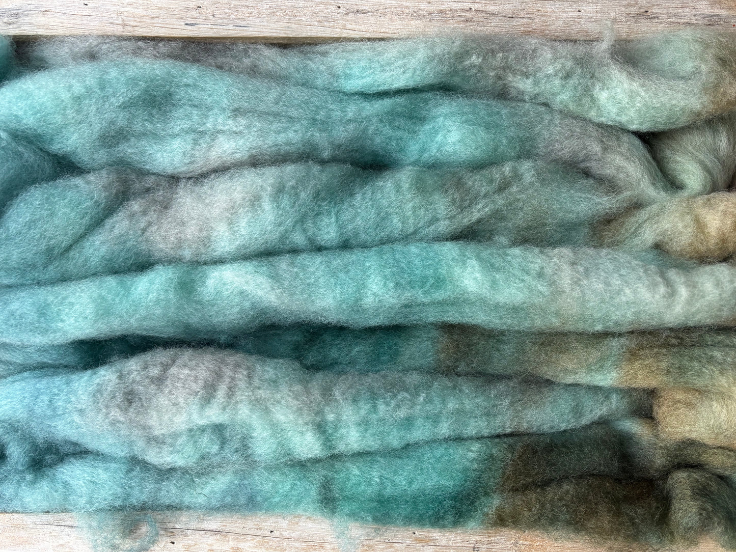 One of a Kind Batch - 100 grams of Spinning Fibre - Bluefaced Leicester Wool - 26 Micron - Hand Dyed Combed Top