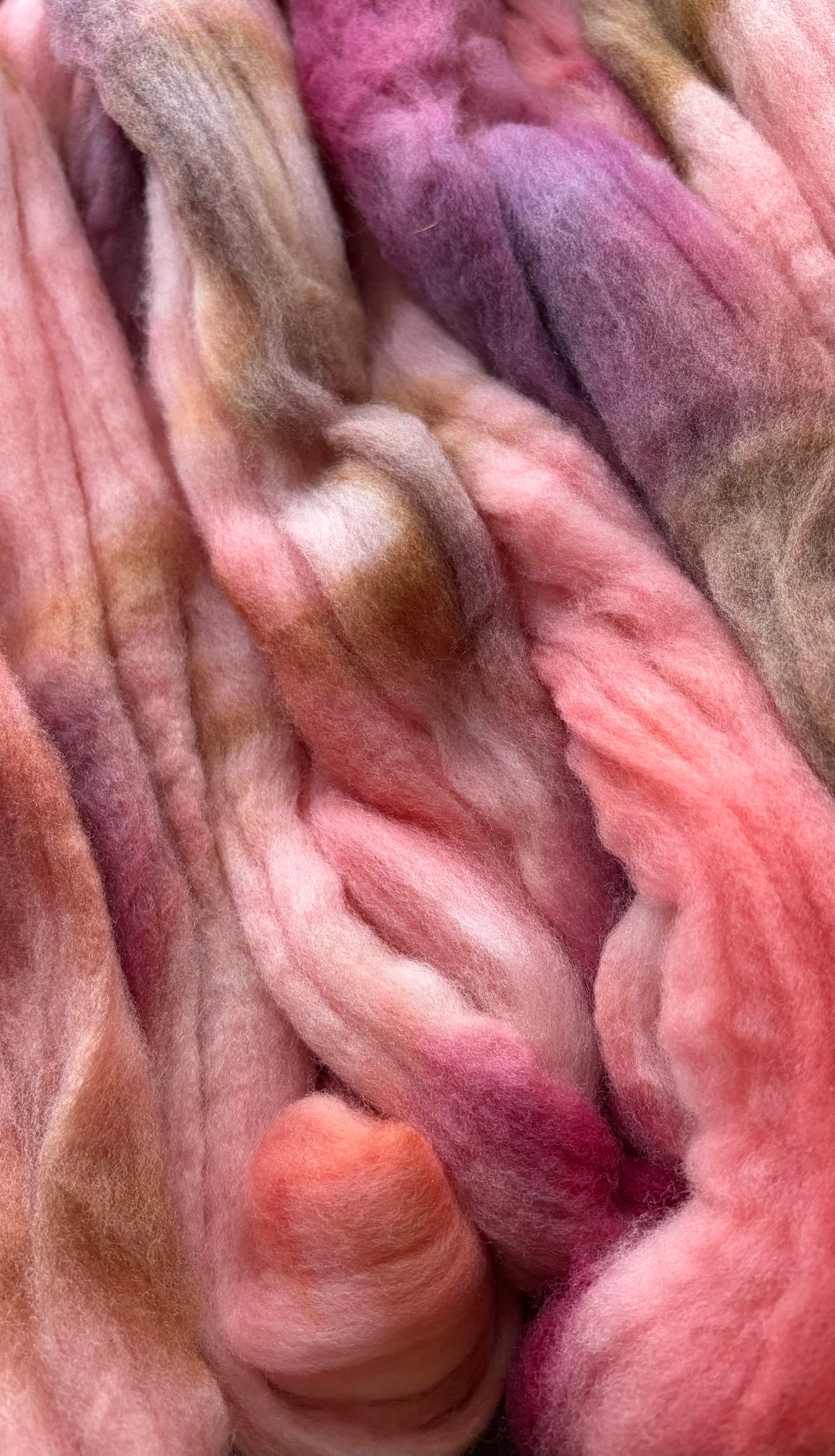 Targhee - 23 Micron - One of a Kind Batch - 100 grams of Spinning Fibre - Hand Dyed Combed Top