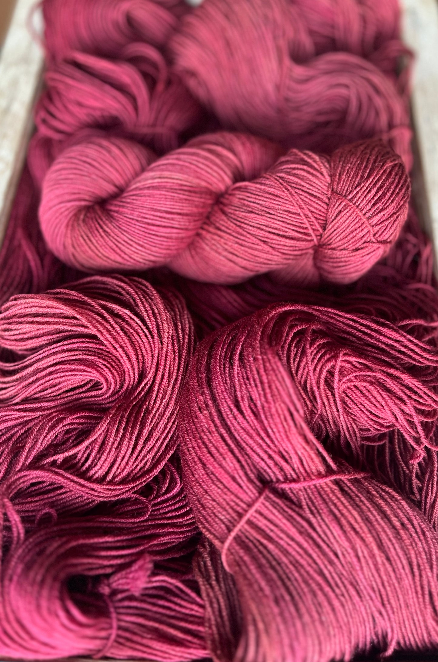 French Rose