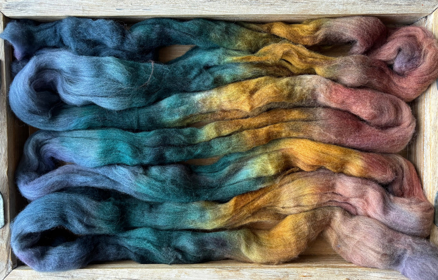 One of a Kind Batch - 100 grams of Spinning Fibre - 100% Targhee - 23 Micron - Hand Dyed Combed Top
