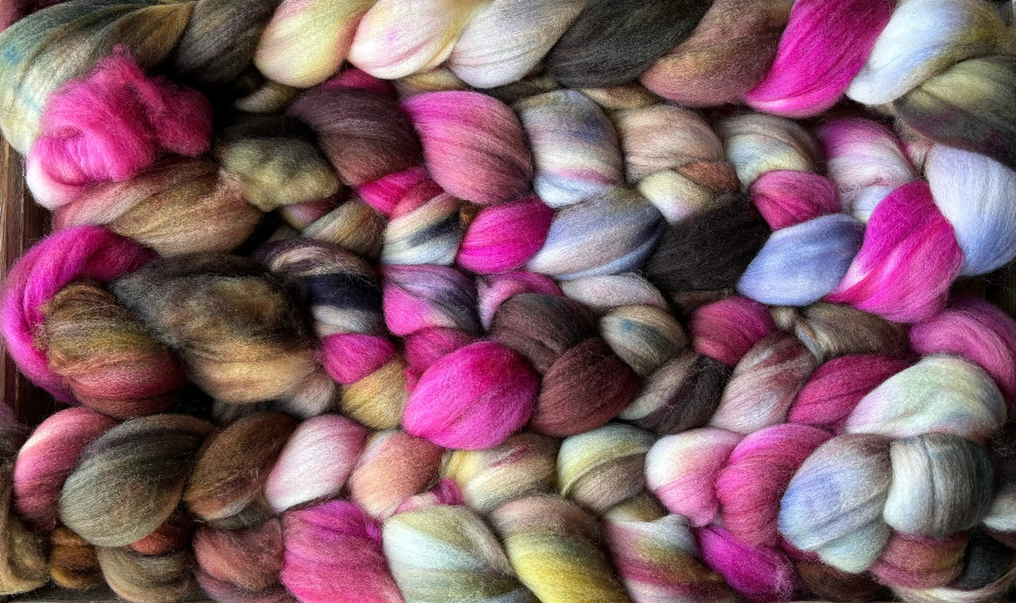 One of a Kind Batch - 100 grams of Spinning Fibre - Superwash Merino Wool 22 Micron - Hand Dyed Combed Top