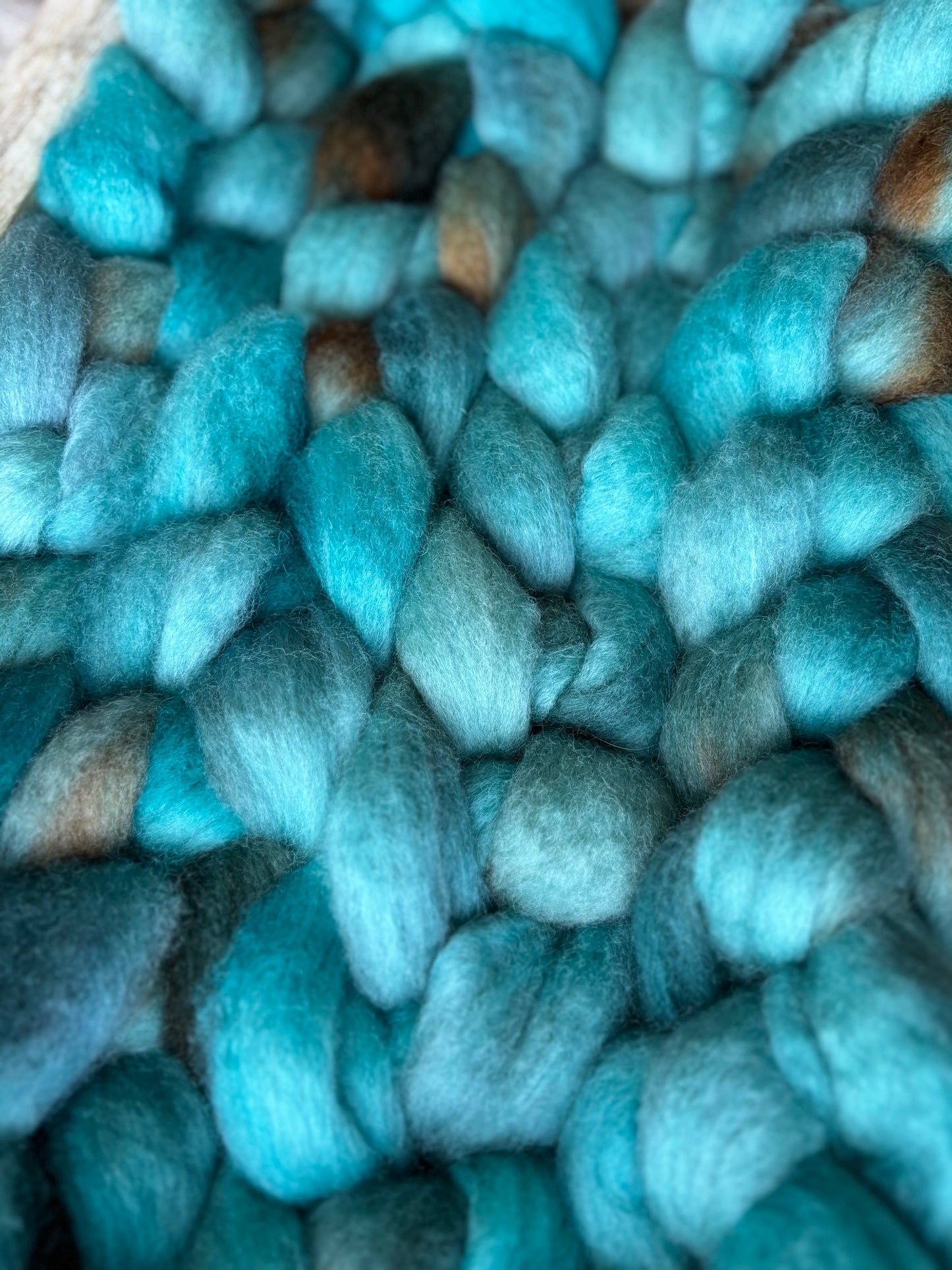 One of a Kind Batch - 100 grams of Spinning Fibre - Bluefaced Leicester Wool - 26 Micron - Hand Dyed Combed Top