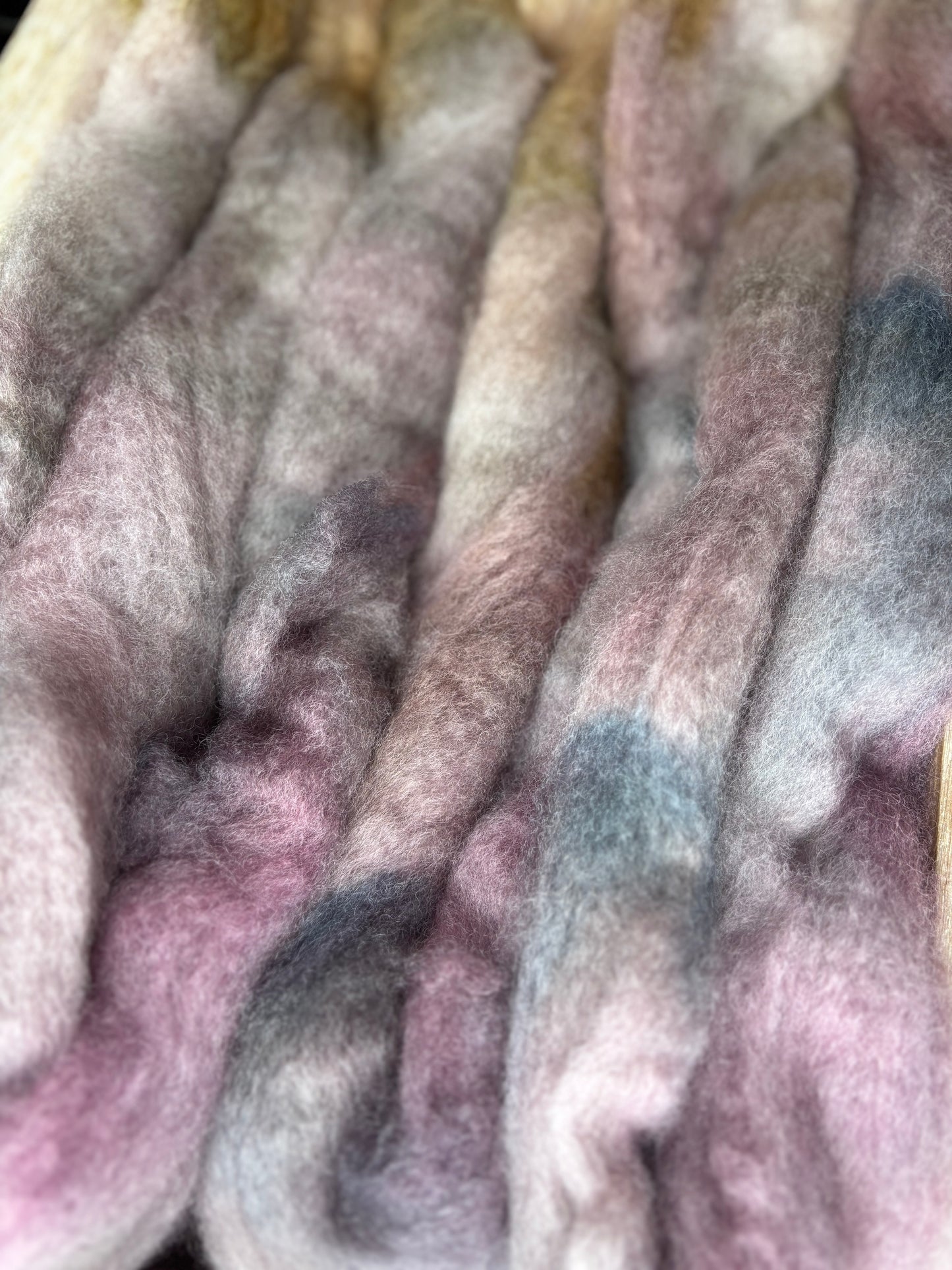 One of a Kind Batch - 100 grams of Spinning Fibre - Bluefaced Leicester Wool - 26 Micron - Hand Dyed Combed Top