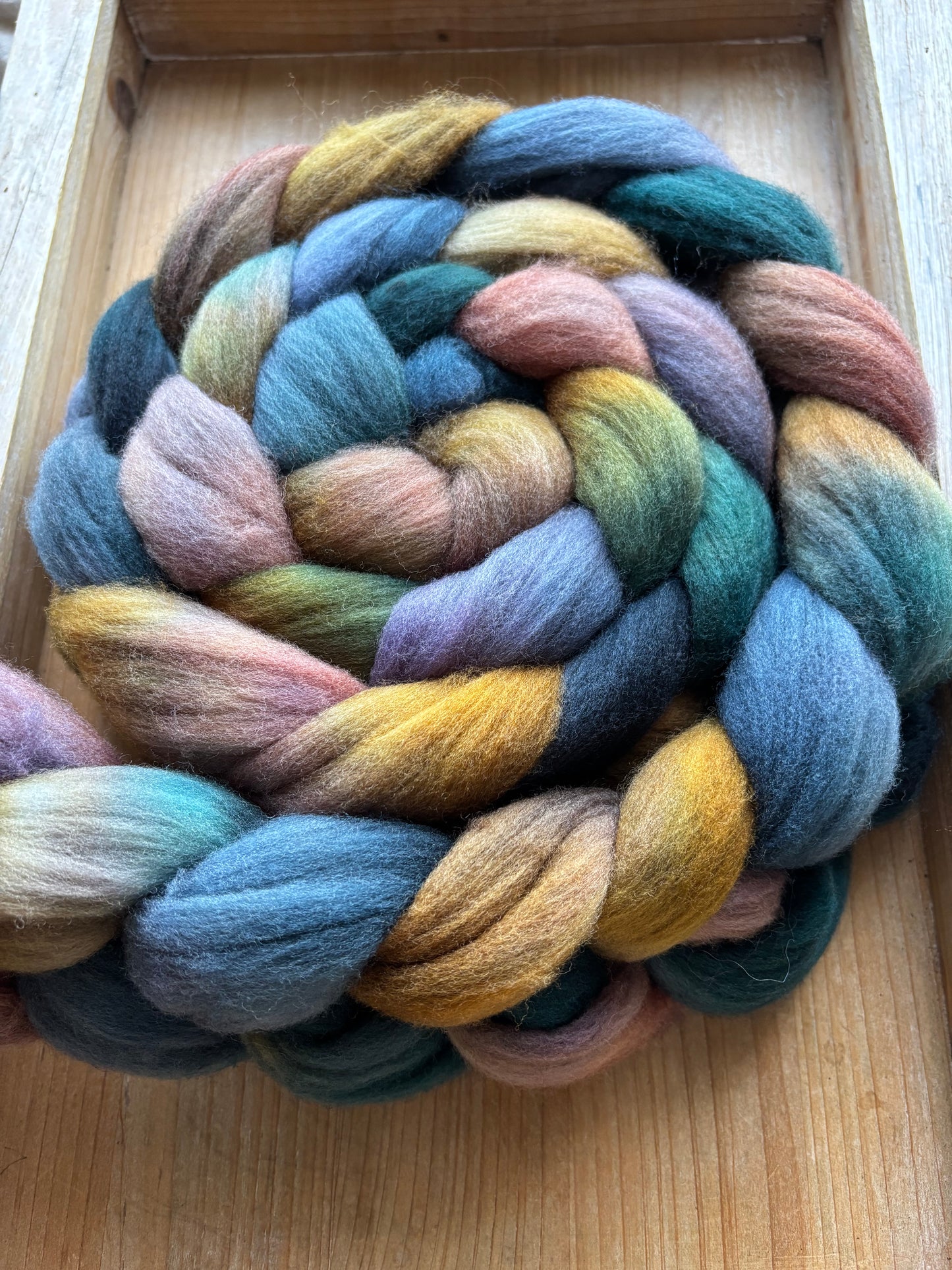 One of a Kind Batch - 100 grams of Spinning Fibre - 100% Targhee - 23 Micron - Hand Dyed Combed Top