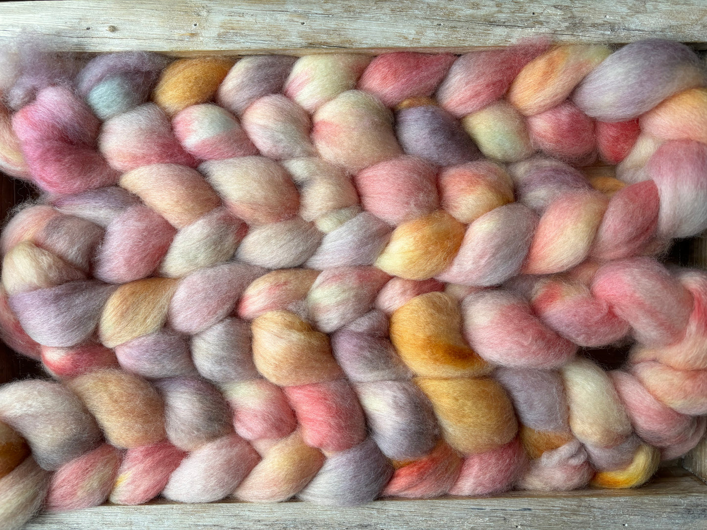 One of a Kind Batch - 100 grams of Spinning Fibre - Bluefaced Leicester Wool - 26 Micron - Hand Dyed Combed Top