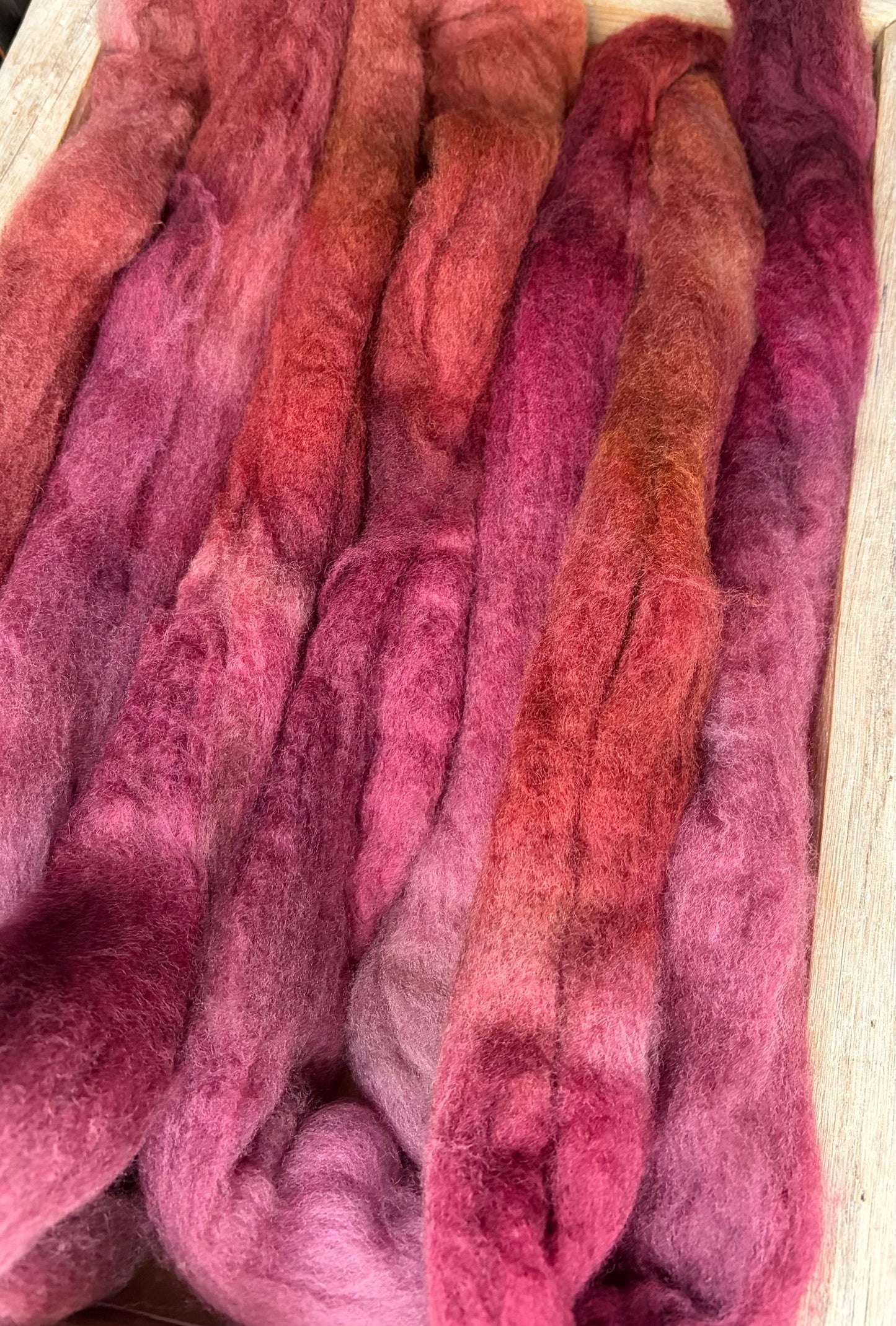 Polwarth - 22 Micron - One of a Kind Batch - 100 grams of Spinning Fibre - Hand Dyed Combed Top