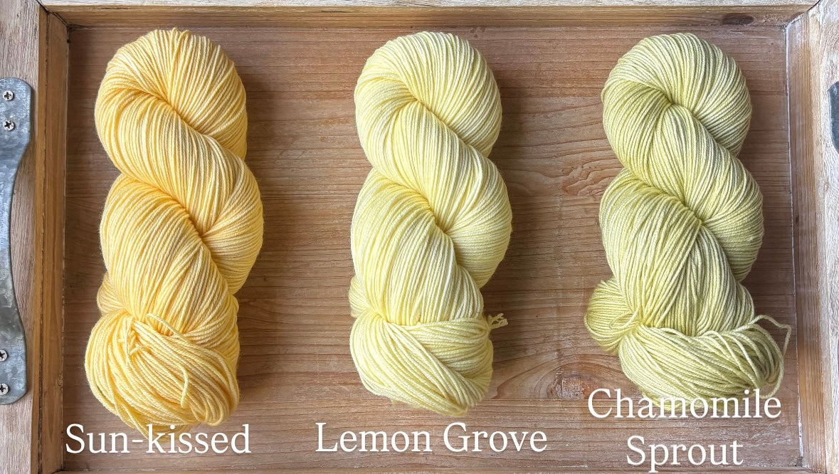 Chamomile Sprout