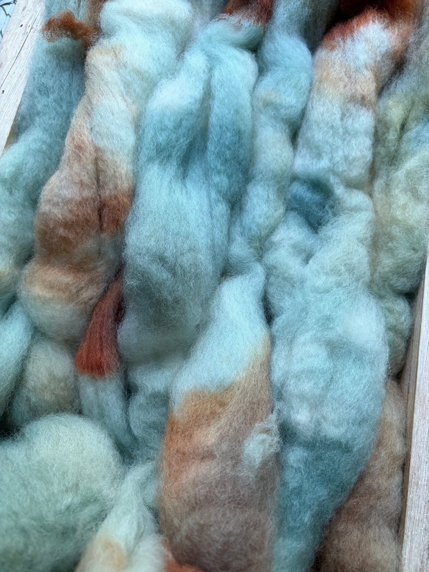 Bluefaced Leicester Wool - 26 Micron - One of a Kind Batch - 100 grams of Spinning Fibre - Hand Dyed Combed Top