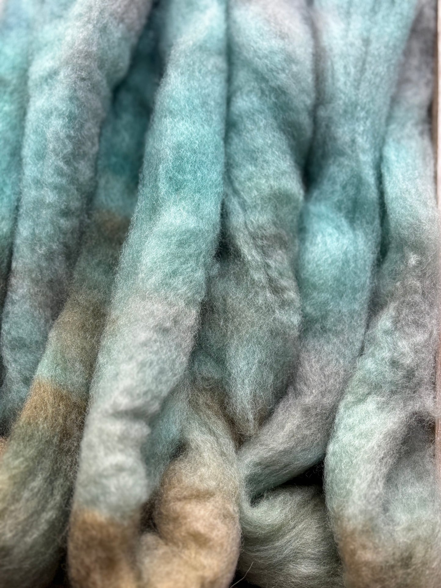 One of a Kind Batch - 100 grams of Spinning Fibre - Bluefaced Leicester Wool - 26 Micron - Hand Dyed Combed Top