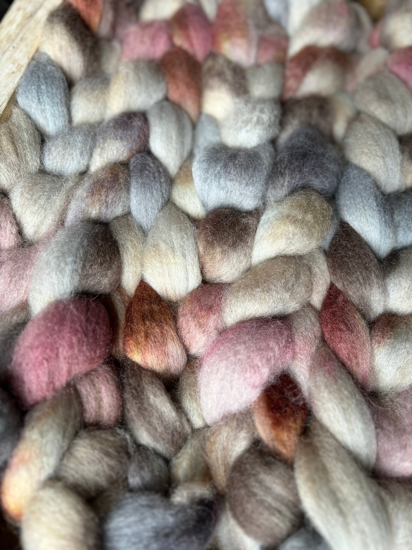 One of a Kind Batch - 100 grams of Spinning Fibre - Bluefaced Leicester Wool - 26 Micron - Hand Dyed Combed Top