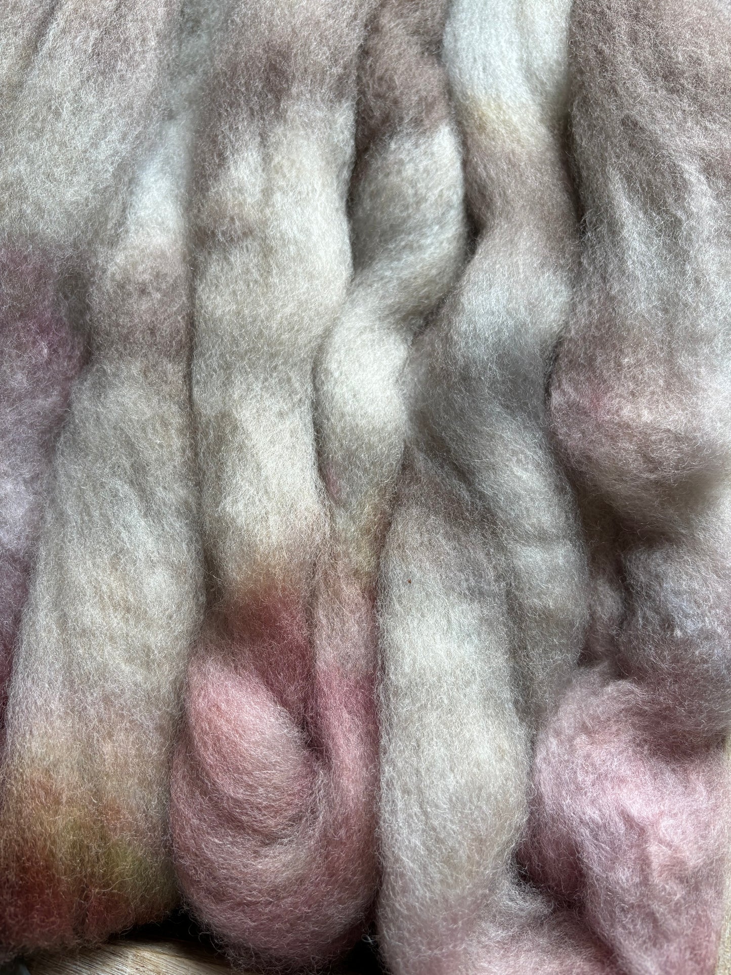 One of a Kind Batch - 100 grams of Spinning Fibre - Bluefaced Leicester Wool - 26 Micron - Hand Dyed Combed Top