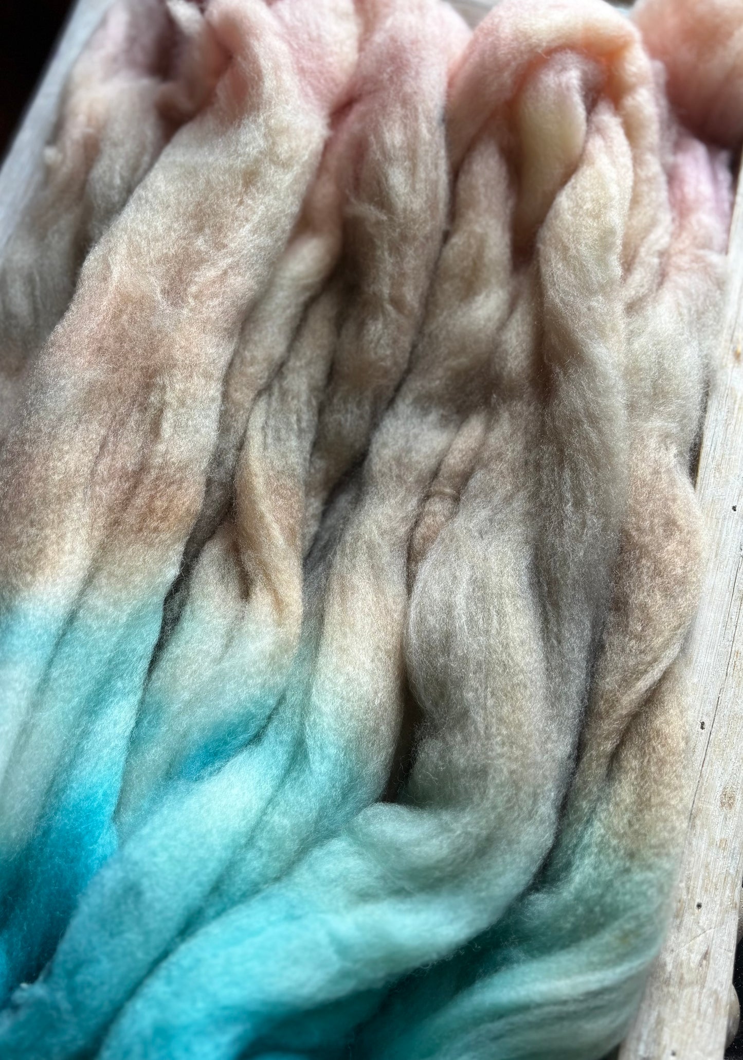 One of a Kind Batch - 100 grams of Spinning Fibre - 80% Superwash Merino Wool/ 20% Nylon - 22.5 Micron - Hand Dyed Combed Top