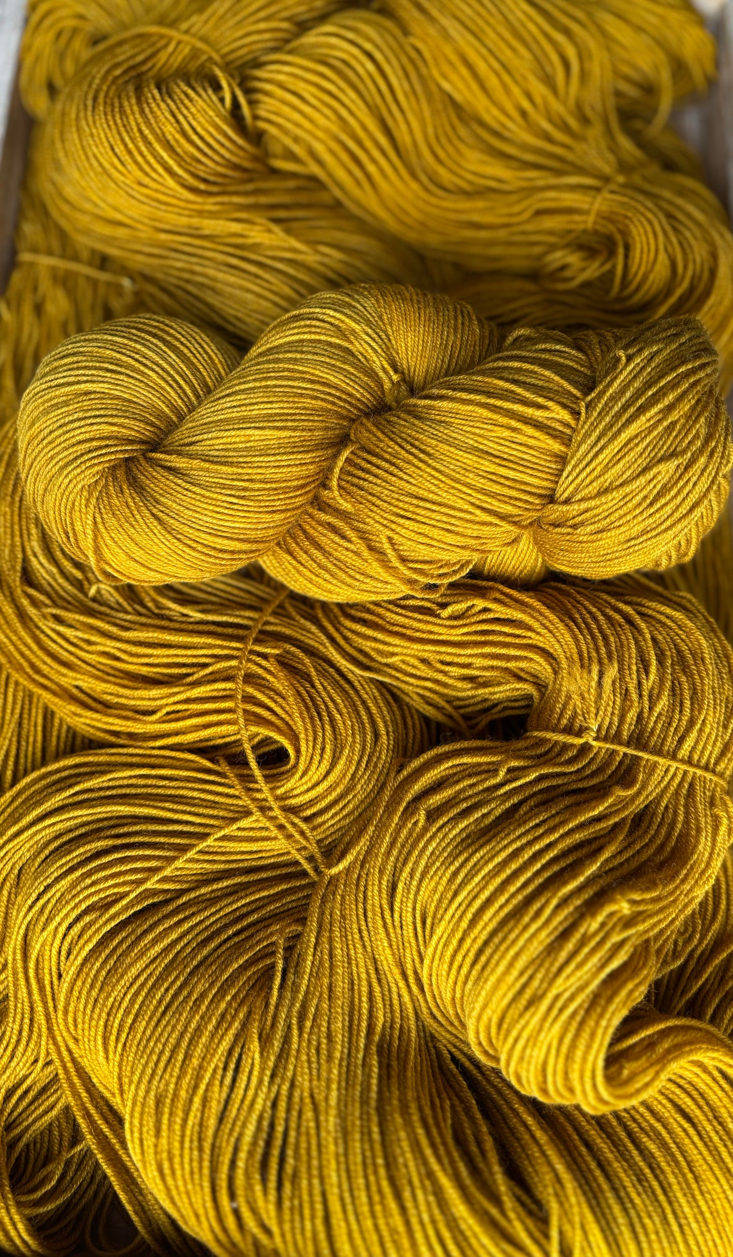 Gold Rush