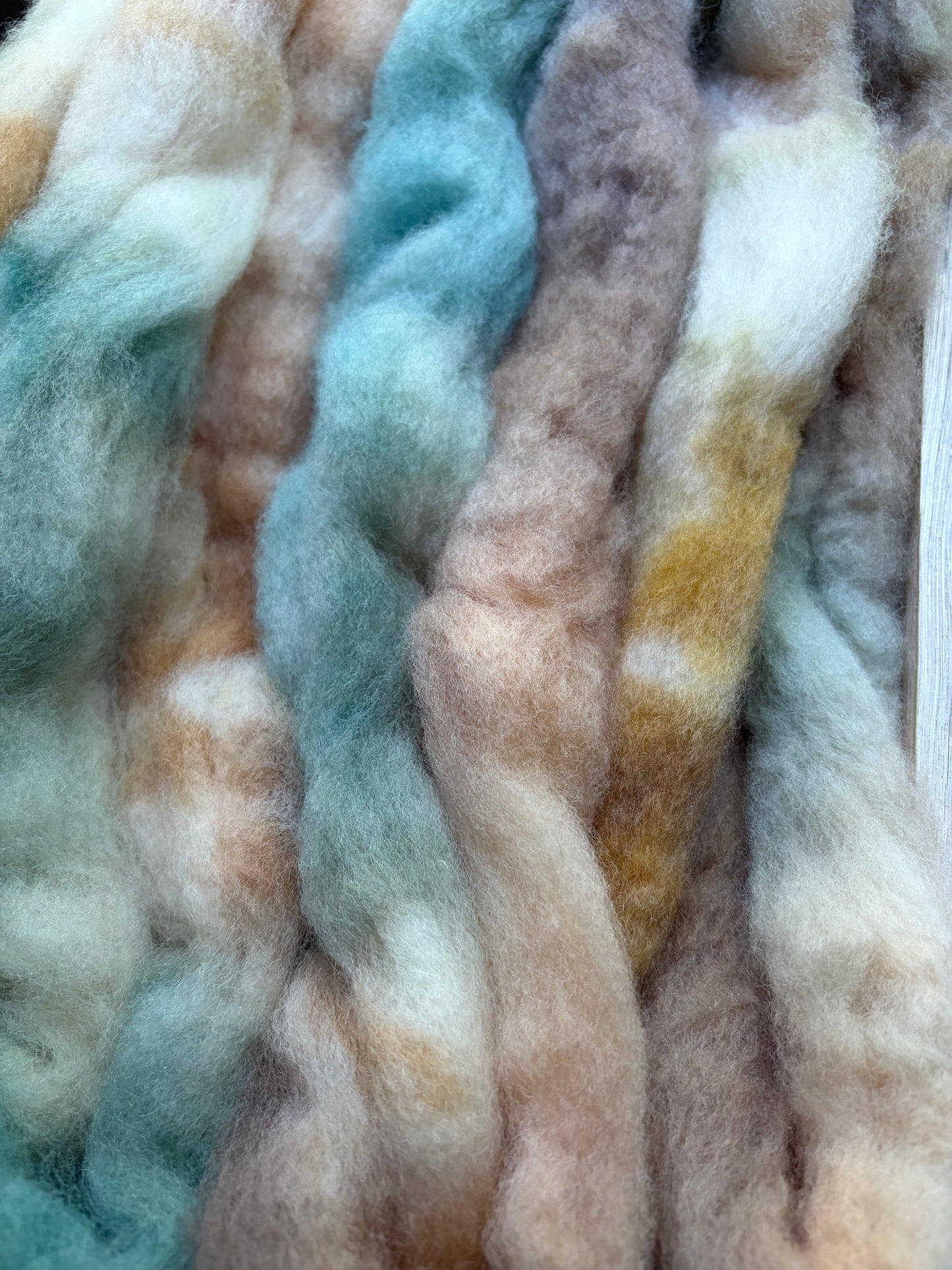 Bluefaced Leicester Wool - 26 Micron - One of a Kind Batch - 100 grams of Spinning Fibre - Hand Dyed Combed Top