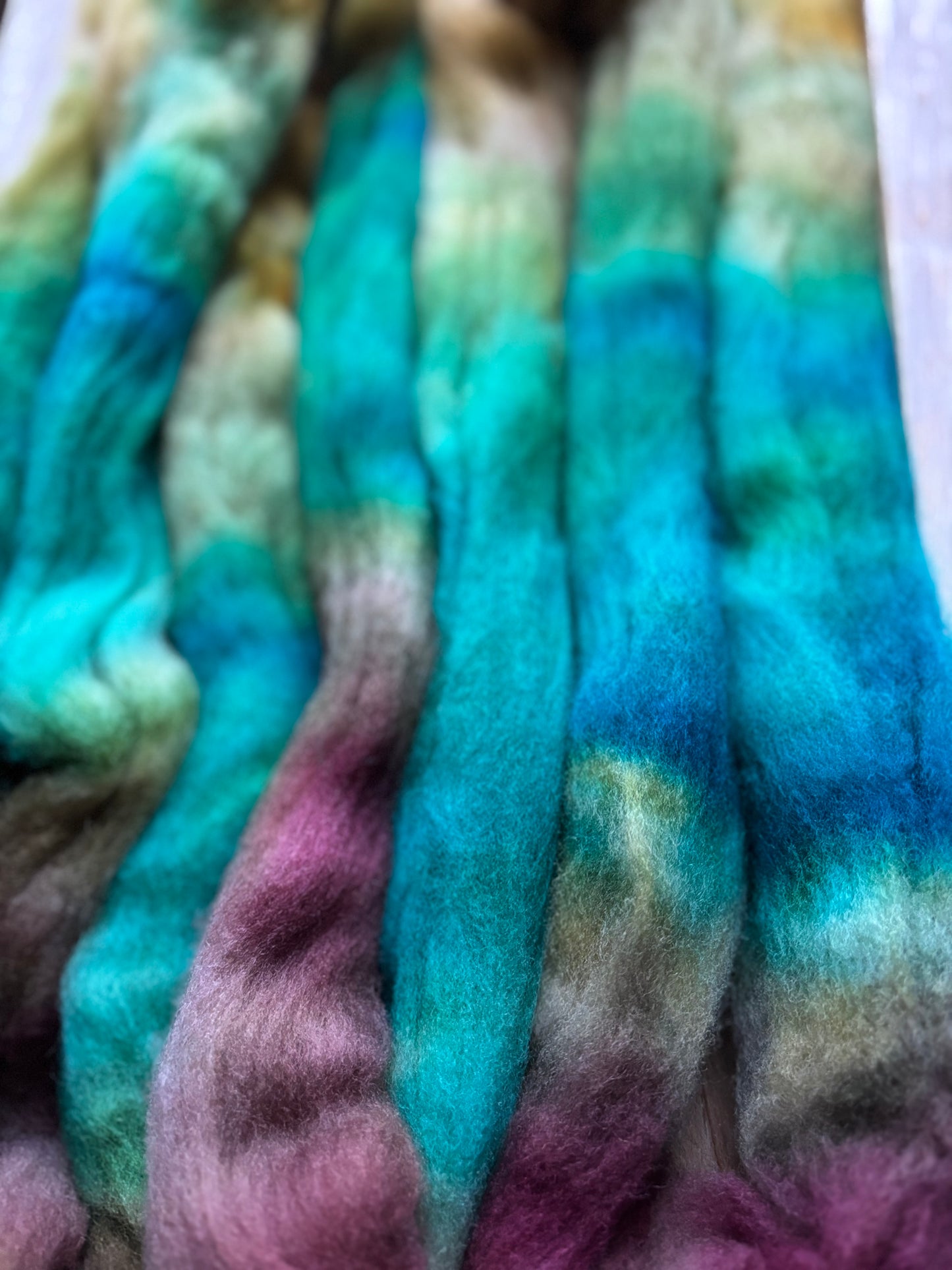 One of a Kind Batch - 100 grams of Spinning Fibre - 100% Polwarth - 22 Micron - Hand Dyed Combed Top