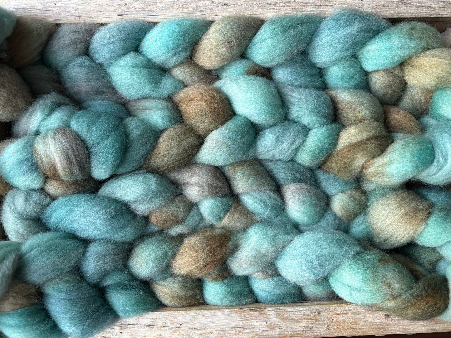 One of a Kind Batch - 100 grams of Spinning Fibre - Bluefaced Leicester Wool - 26 Micron - Hand Dyed Combed Top