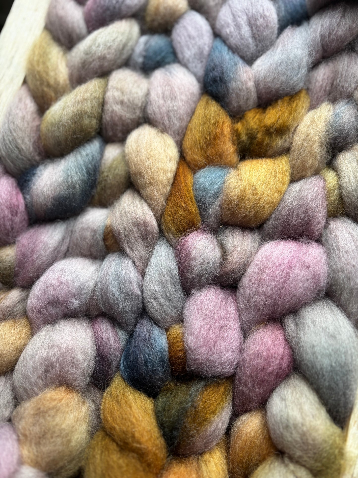 One of a Kind Batch - 100 grams of Spinning Fibre - Bluefaced Leicester Wool - 26 Micron - Hand Dyed Combed Top
