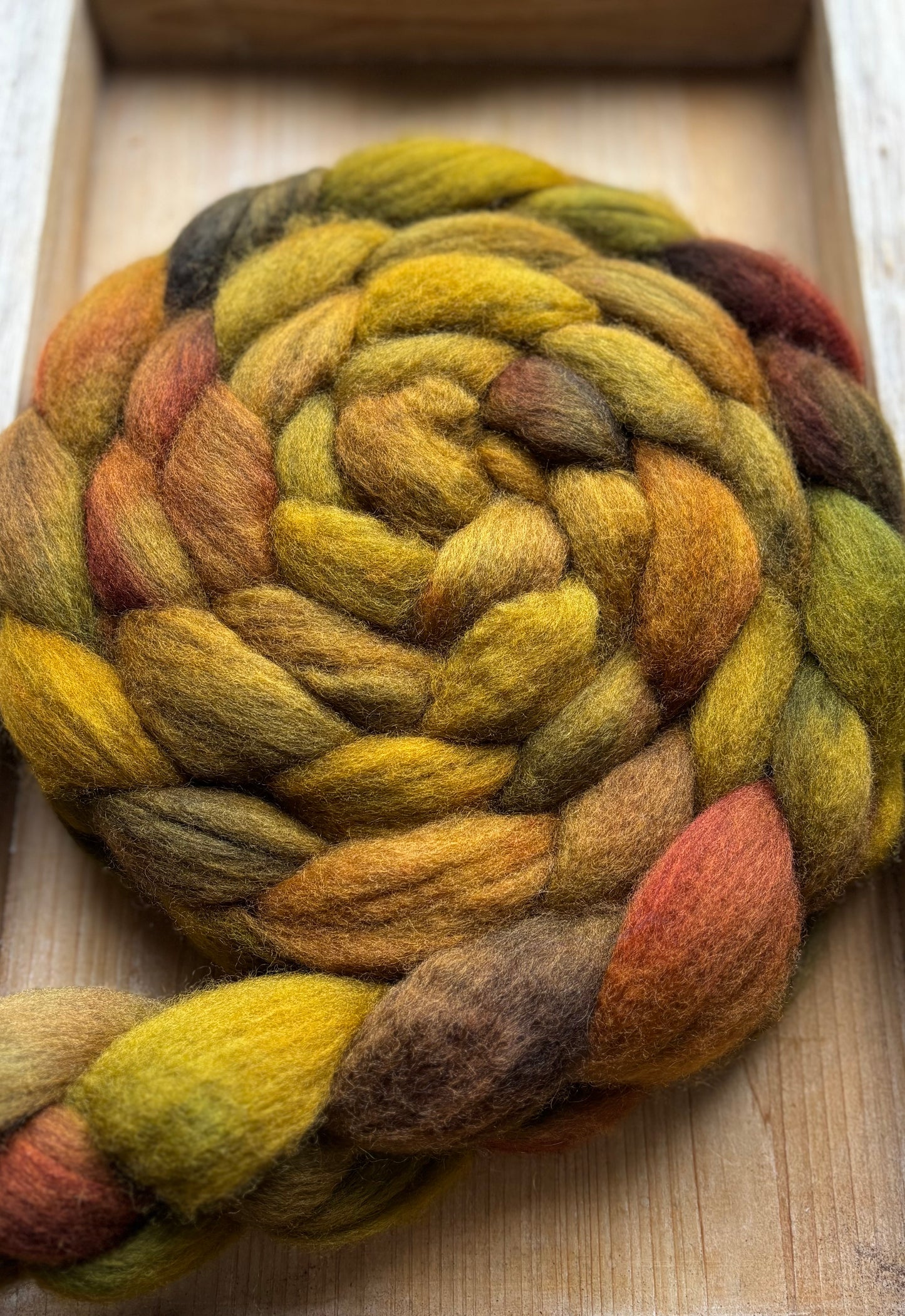 One of a Kind Batch - 100 grams of Spinning Fibre - Bluefaced Leicester Wool - 26 Micron - Hand Dyed Combed Top
