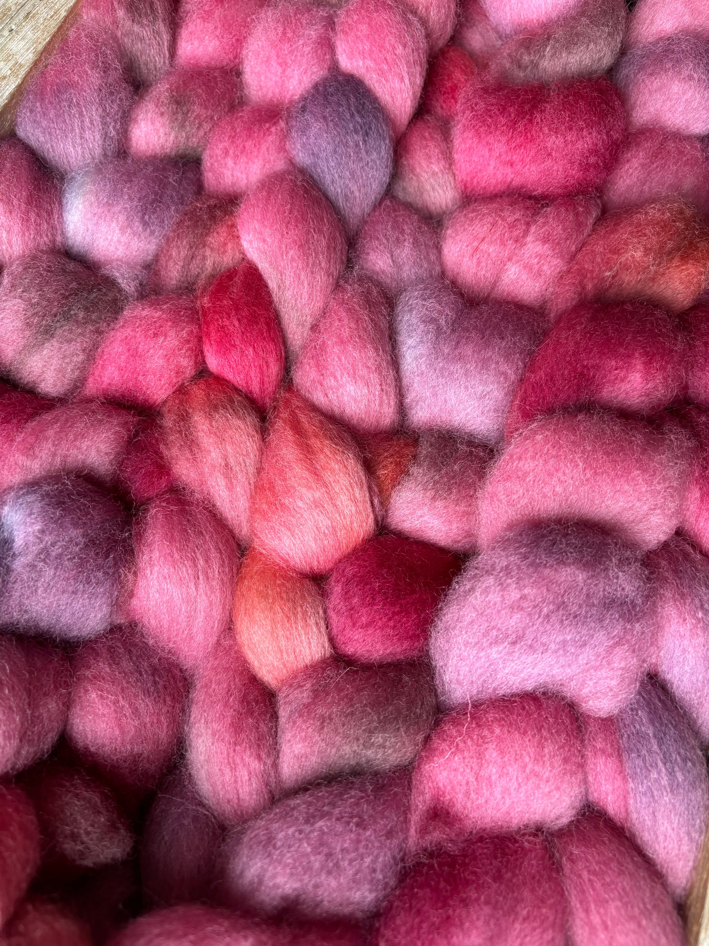 One of a Kind Batch - 100 grams of Spinning Fibre - Bluefaced Leicester Wool - 26 Micron - Hand Dyed Combed Top