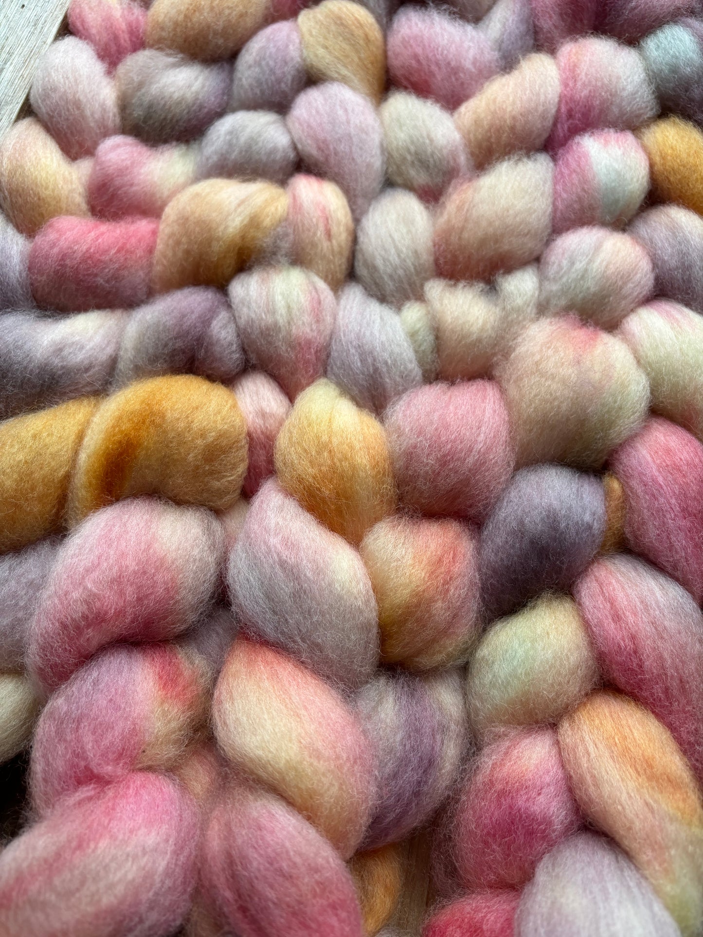 One of a Kind Batch - 100 grams of Spinning Fibre - Bluefaced Leicester Wool - 26 Micron - Hand Dyed Combed Top