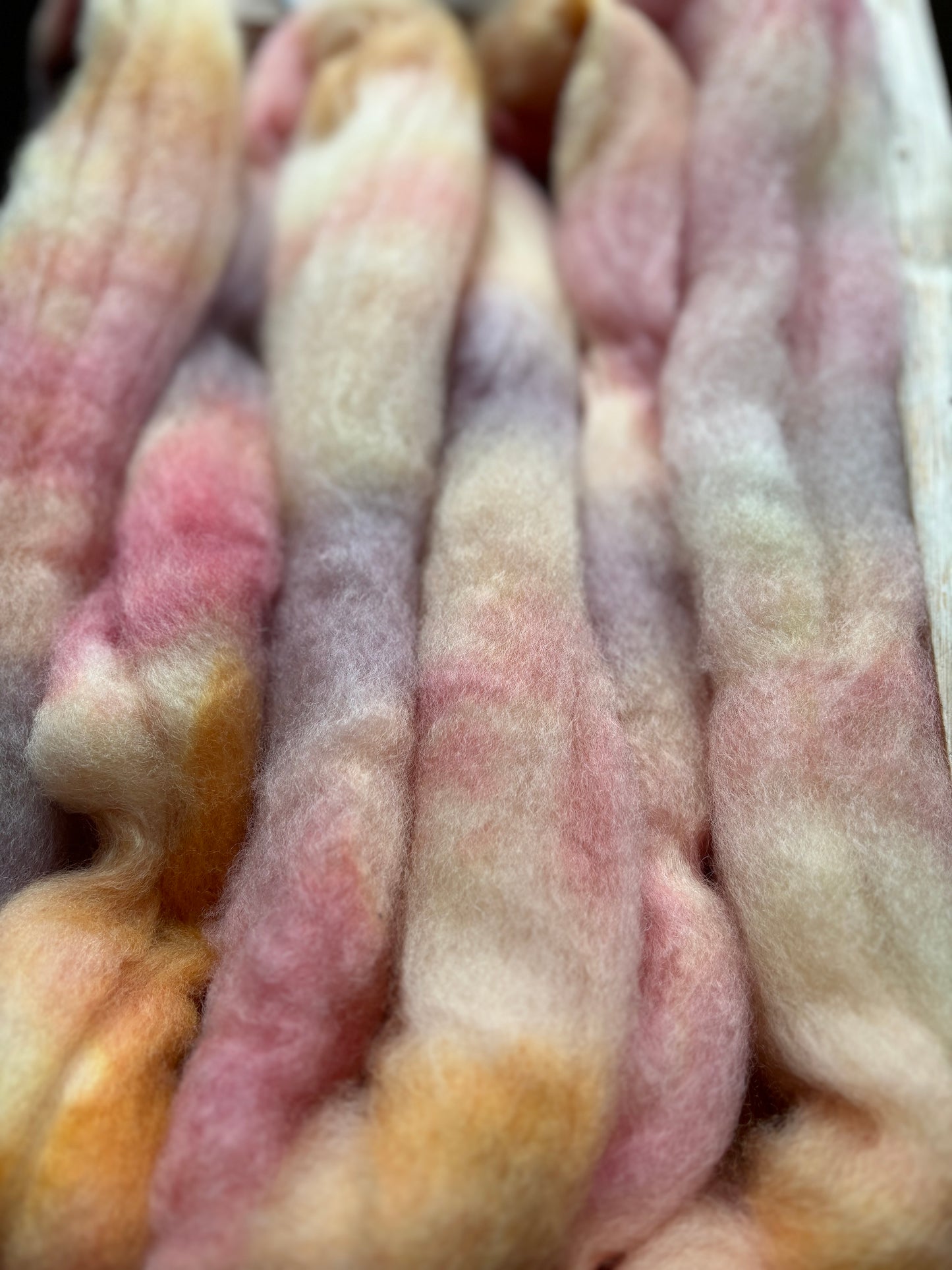One of a Kind Batch - 100 grams of Spinning Fibre - Bluefaced Leicester Wool - 26 Micron - Hand Dyed Combed Top