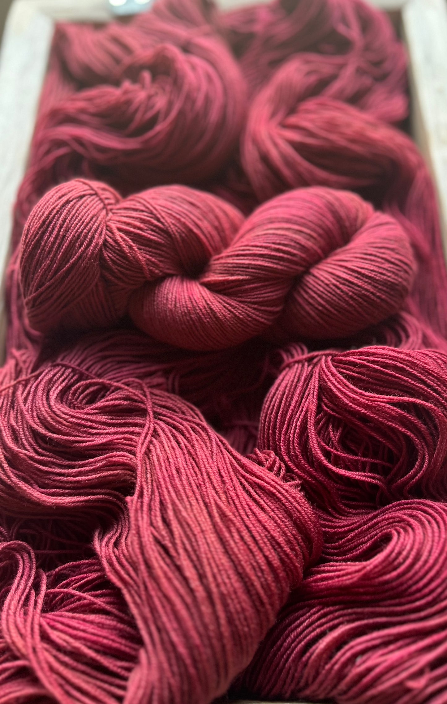 French Rose