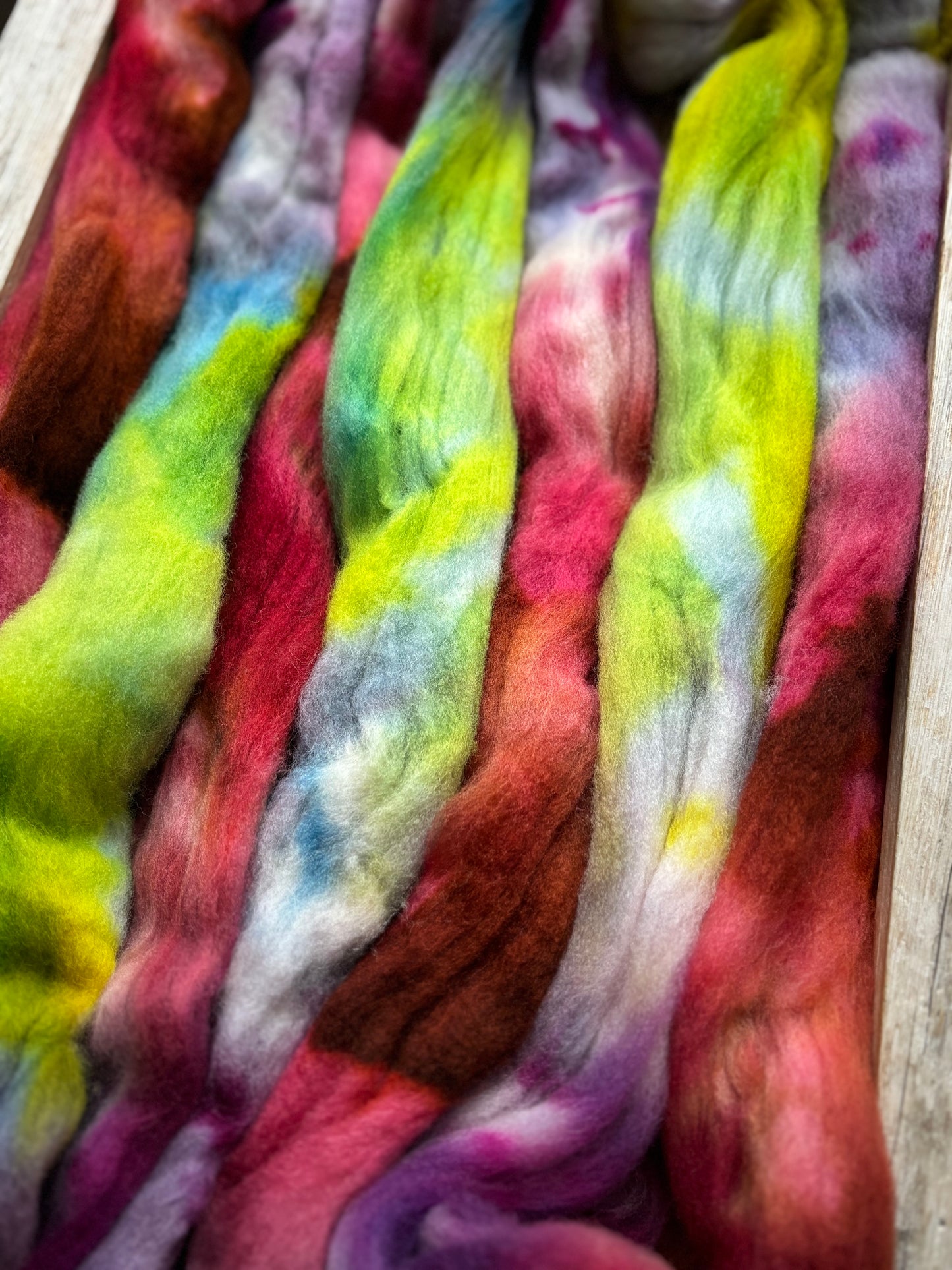 One of a Kind Batch - 100 grams of Spinning Fibre - 100% Targhee - 23 Micron - Hand Dyed Combed Top