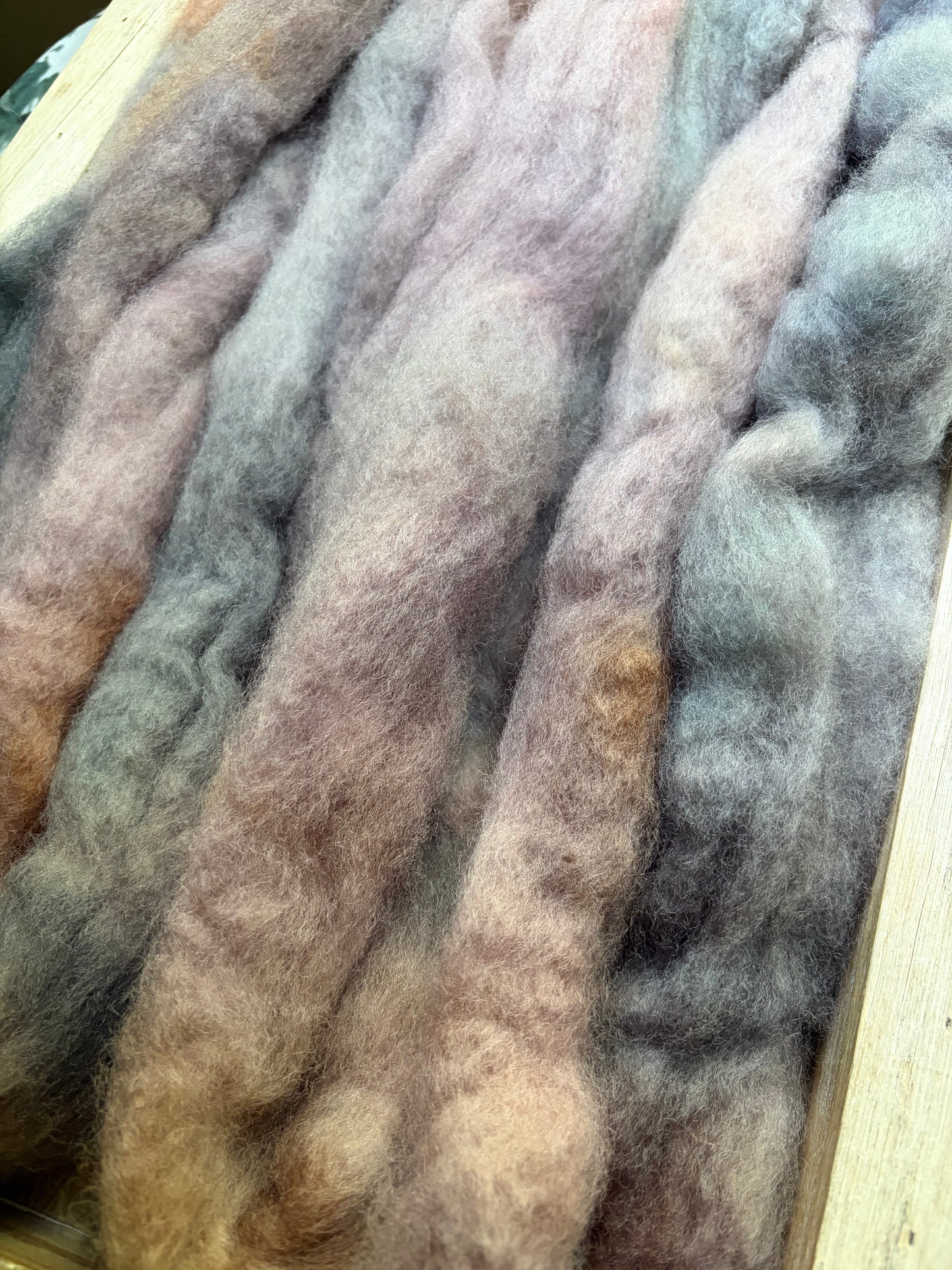 Bluefaced Leicester Wool - 26 Micron - One of a Kind Batch - 100 grams of Spinning Fibre - Hand Dyed Combed Top