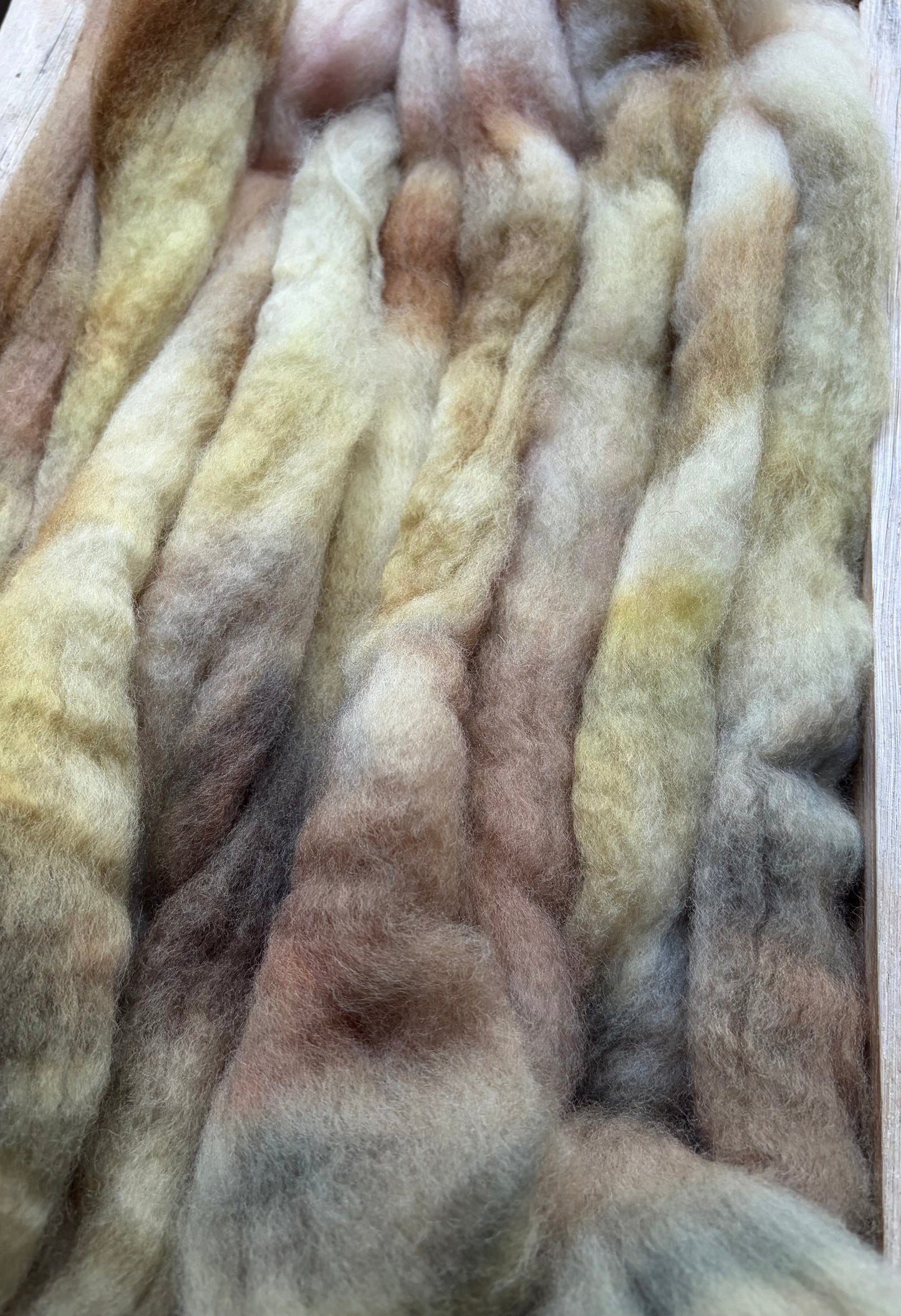 Bluefaced Leicester Wool - 26 Micron - One of a Kind Batch - 100 grams of Spinning Fibre - Hand Dyed Combed Top