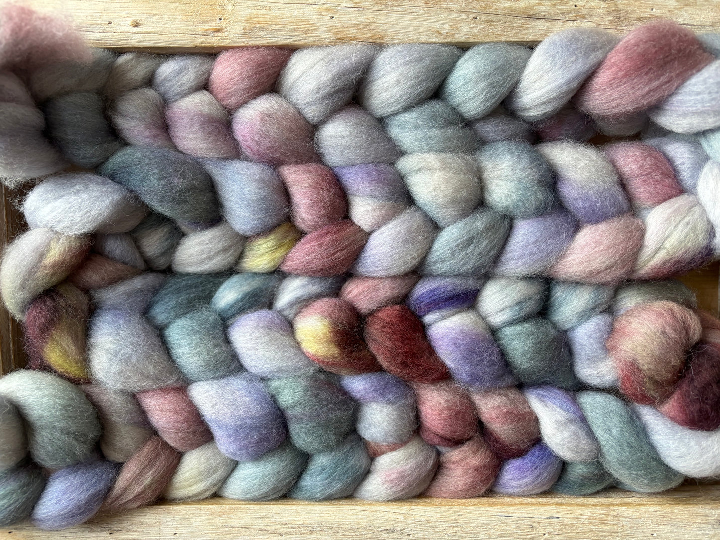 One of a Kind Batch - 100 grams of Spinning Fibre - Bluefaced Leicester Wool - 26 Micron - Hand Dyed Combed Top