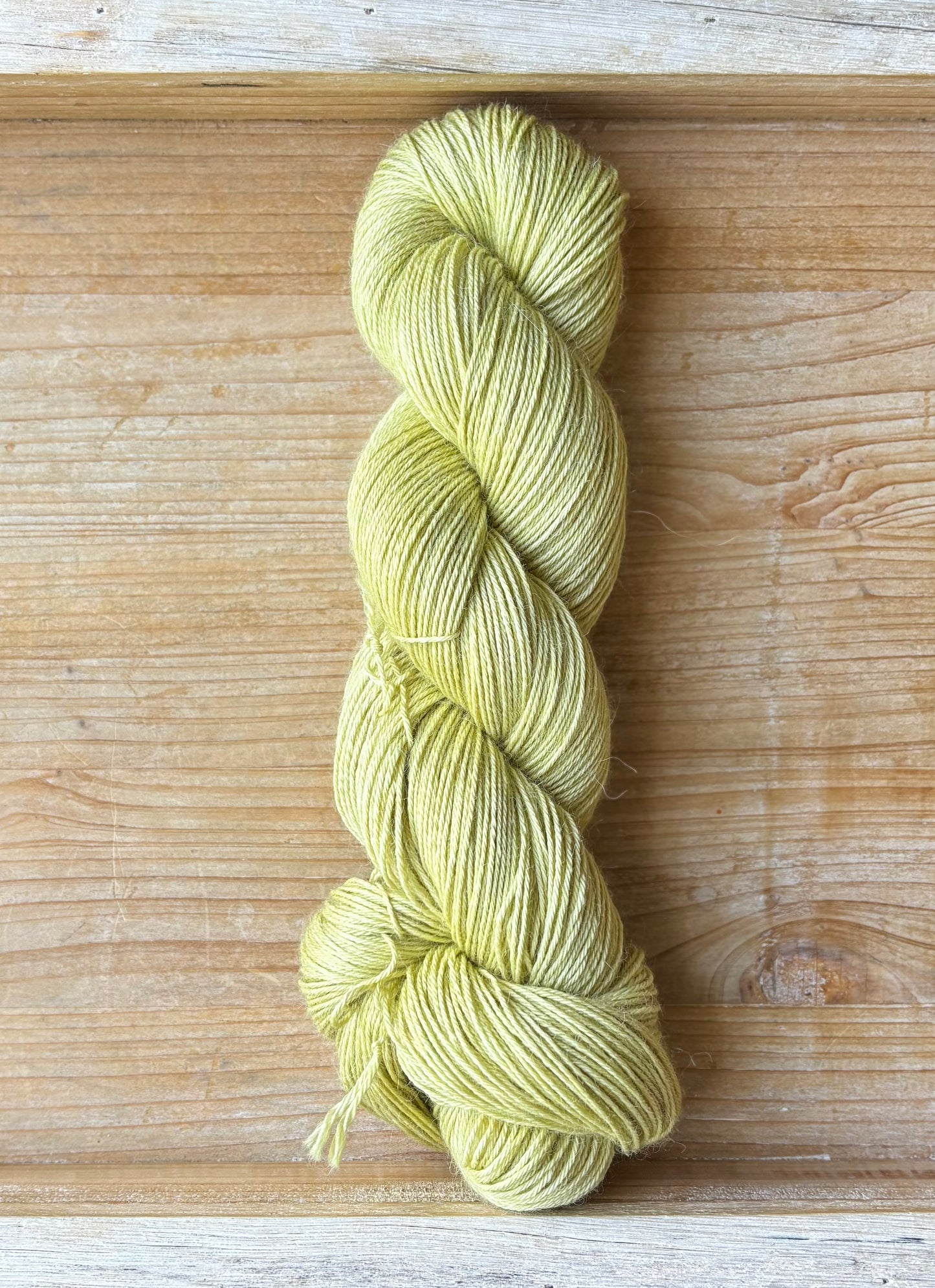 Chamomile Sprout