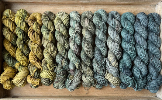 12 écheveaux Mini Yarn Fade - Base de chaussette Squishy