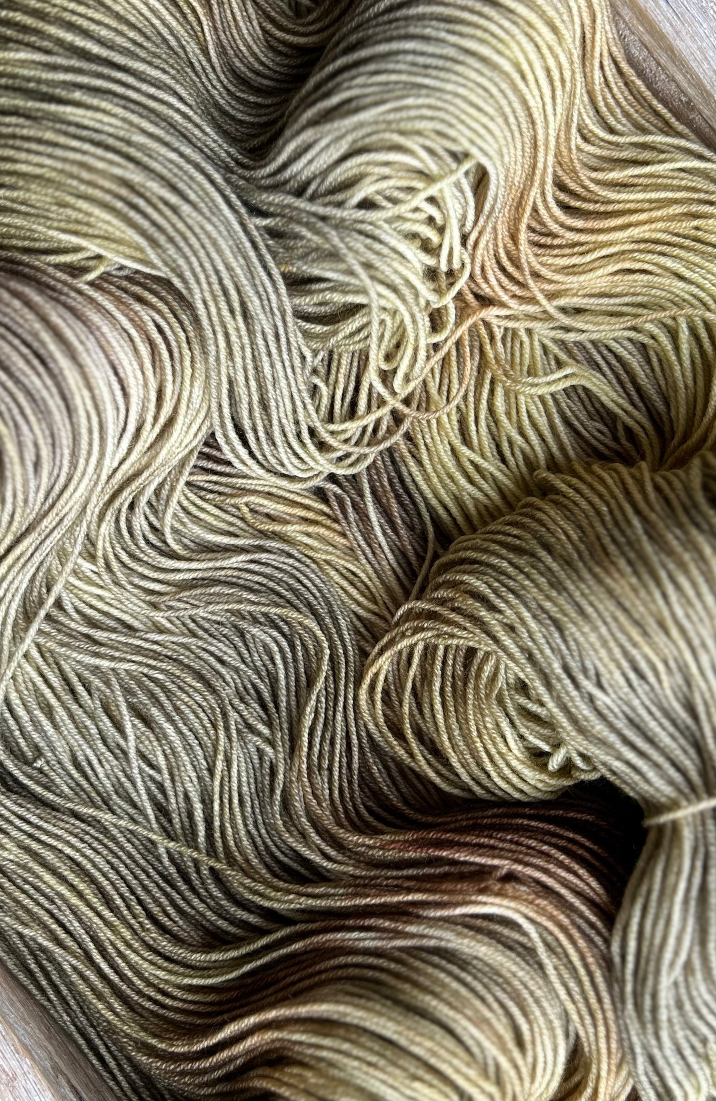 Dune Grass