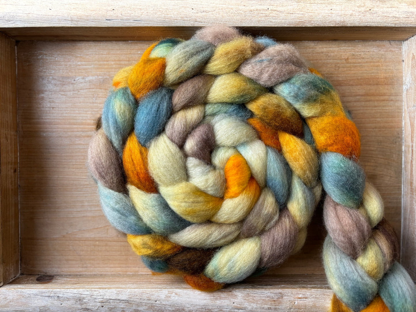 100 grams of Spinning Fibre - Bluefaced Leicester Wool - 26 Micron - Hand Dyed Combed Top