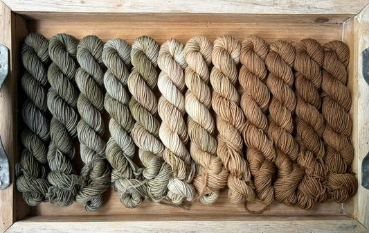 12 Skein Mini Yarn Fade - Squishy Sock Base