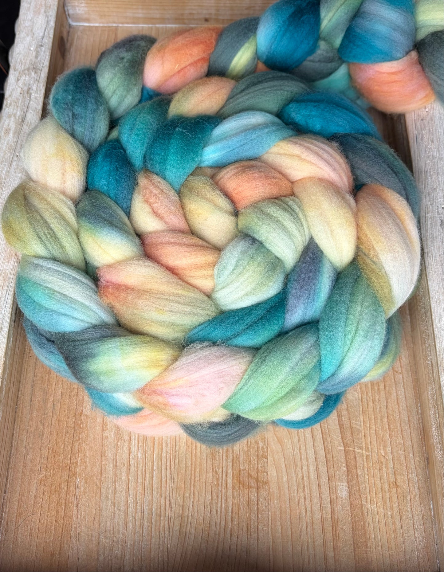 100% Superwash Merino Wool - 22 Micron - One of a Kind Batch - 100 grams of Spinning Fibre - Hand Dyed Combed Top