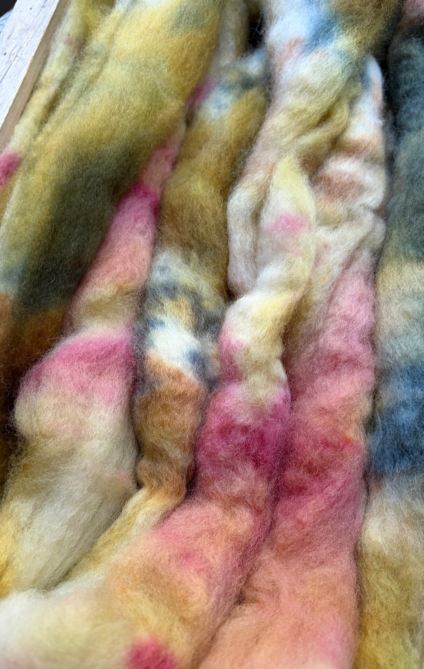 Bluefaced Leicester Wool - 26 Micron - One of a Kind Batch - 100 grams of Spinning Fibre - Hand Dyed Combed Top