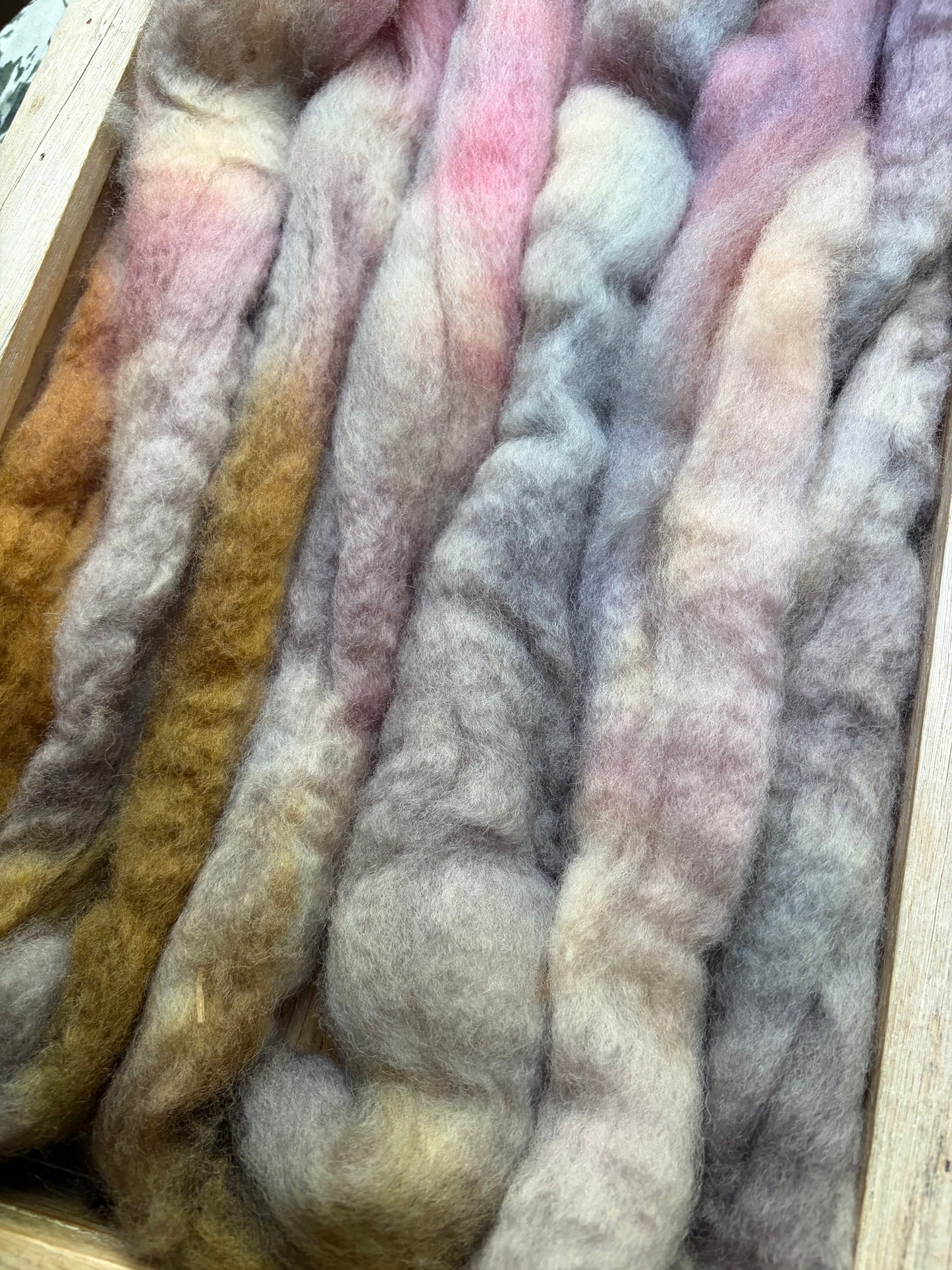 Bluefaced Leicester Wool - 26 Micron - One of a Kind Batch - 100 grams of Spinning Fibre - Hand Dyed Combed Top