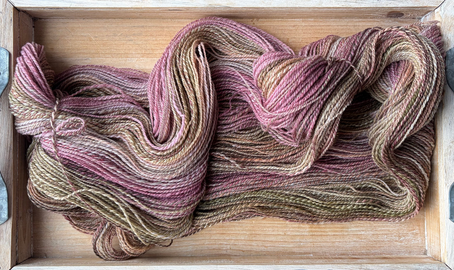 Untreated Merino Wool - 22 Micron - One of a Kind Batch - 100 grams of Spinning Fibre - Hand Dyed Combed Top
