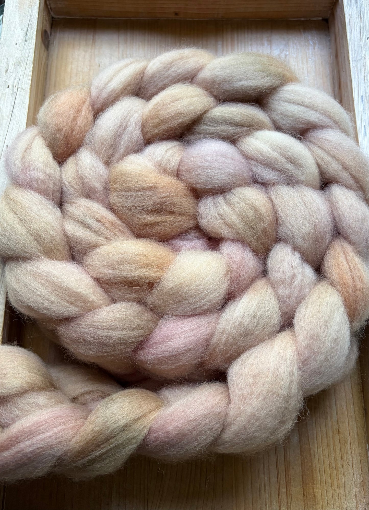 Bluefaced Leicester Wool - 26 Micron - One of a Kind Batch - 100 grams of Spinning Fibre - Hand Dyed Combed Top