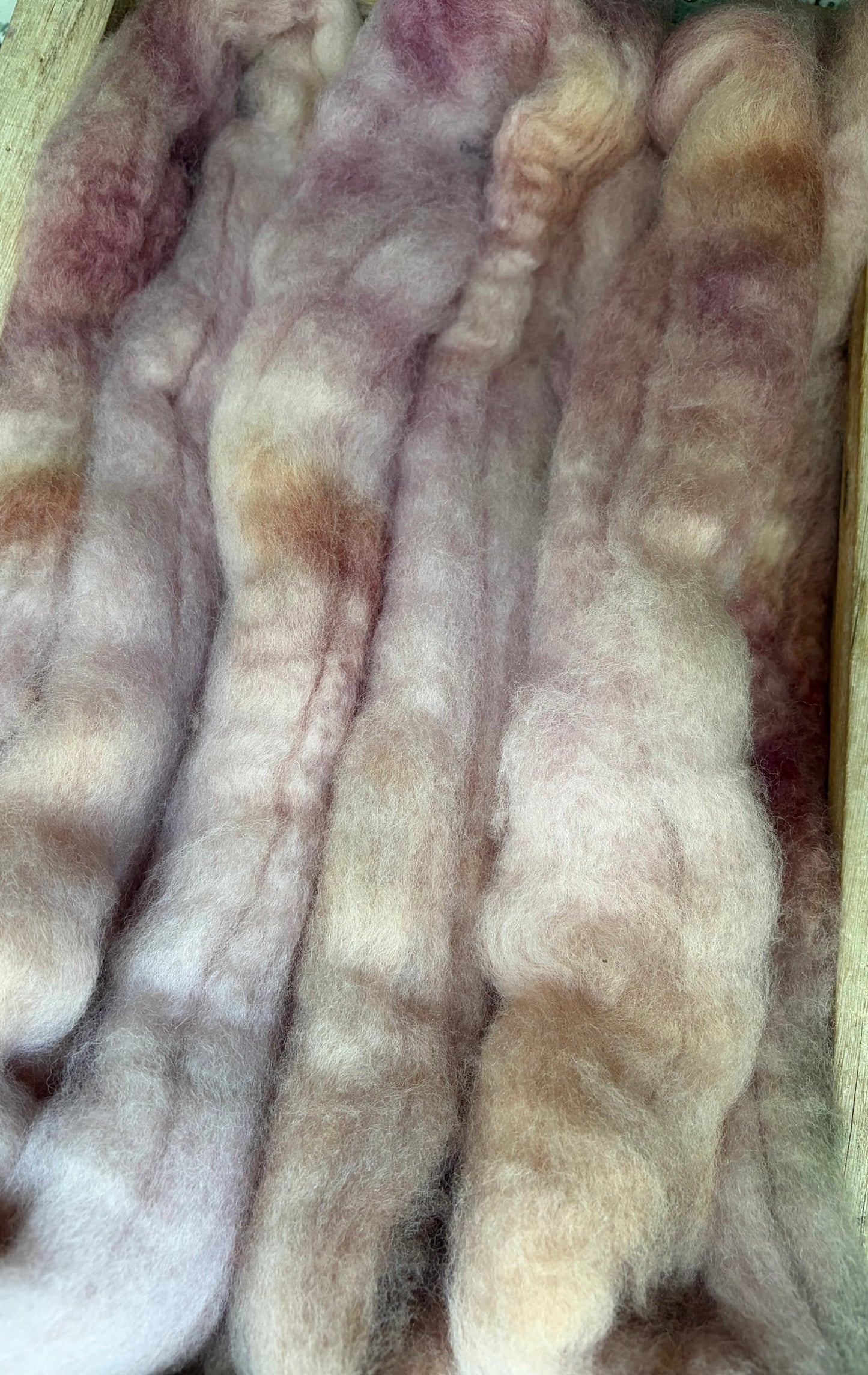 Bluefaced Leicester Wool - 26 Micron - One of a Kind Batch - 100 grams of Spinning Fibre - Hand Dyed Combed Top