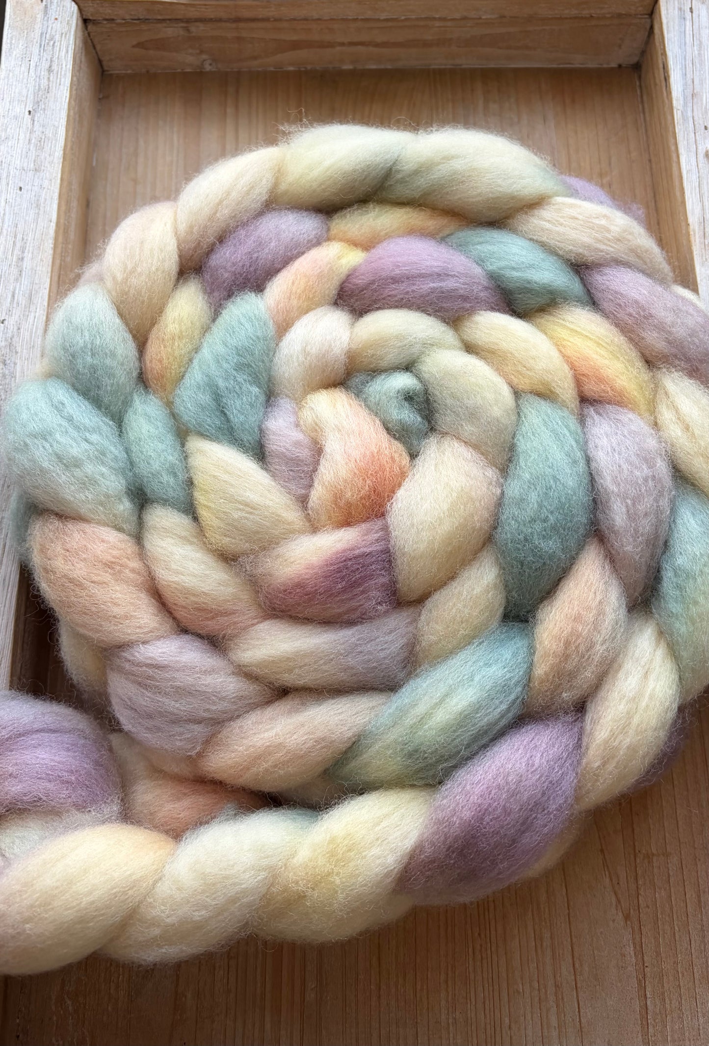 Bluefaced Leicester Wool - 26 Micron - One of a Kind Batch - 100 grams of Spinning Fibre - Hand Dyed Combed Top