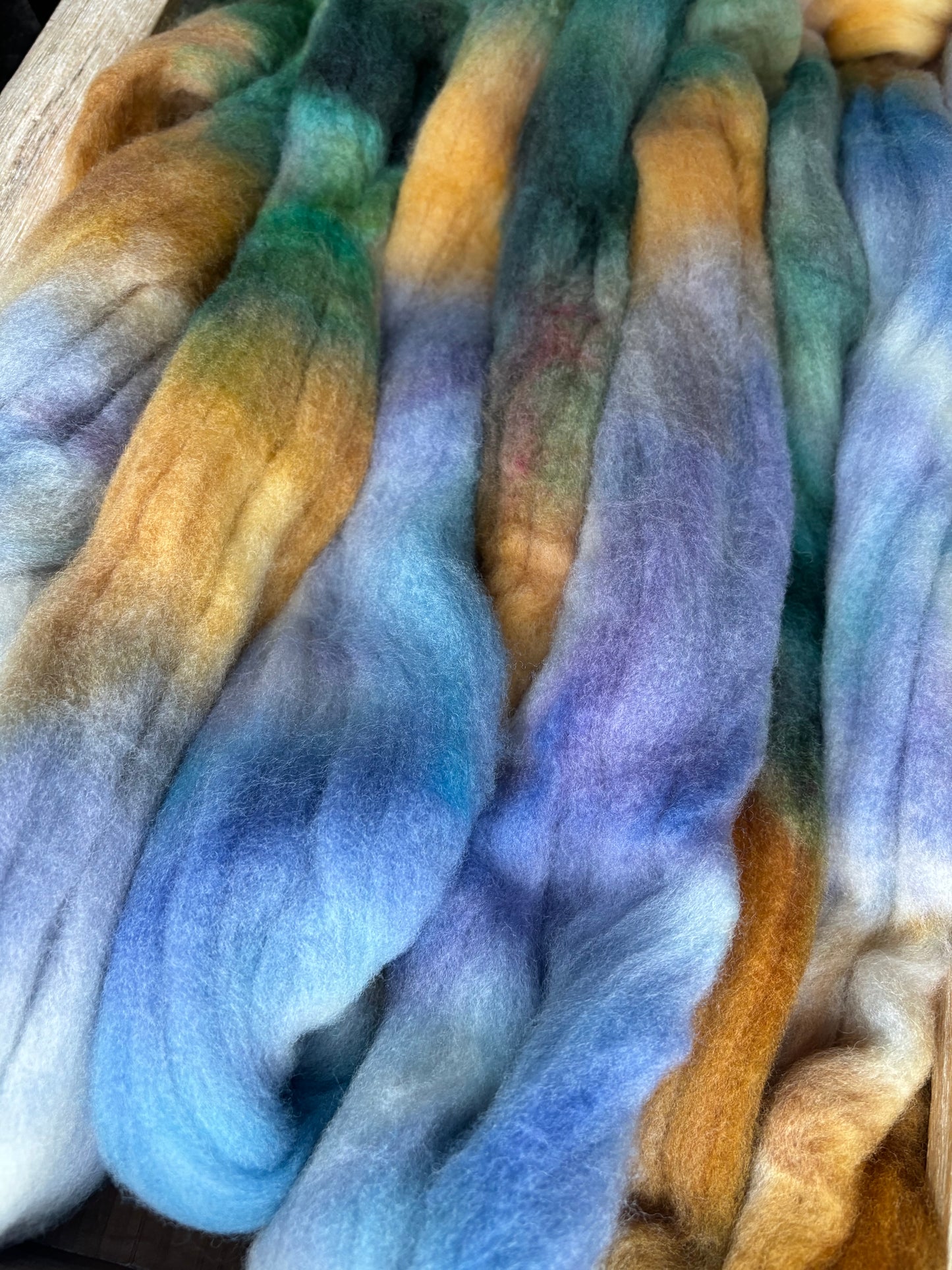 One of a Kind Batch - 100 grams of Spinning Fibre - 100% Targhee - 23 Micron - Hand Dyed Combed Top