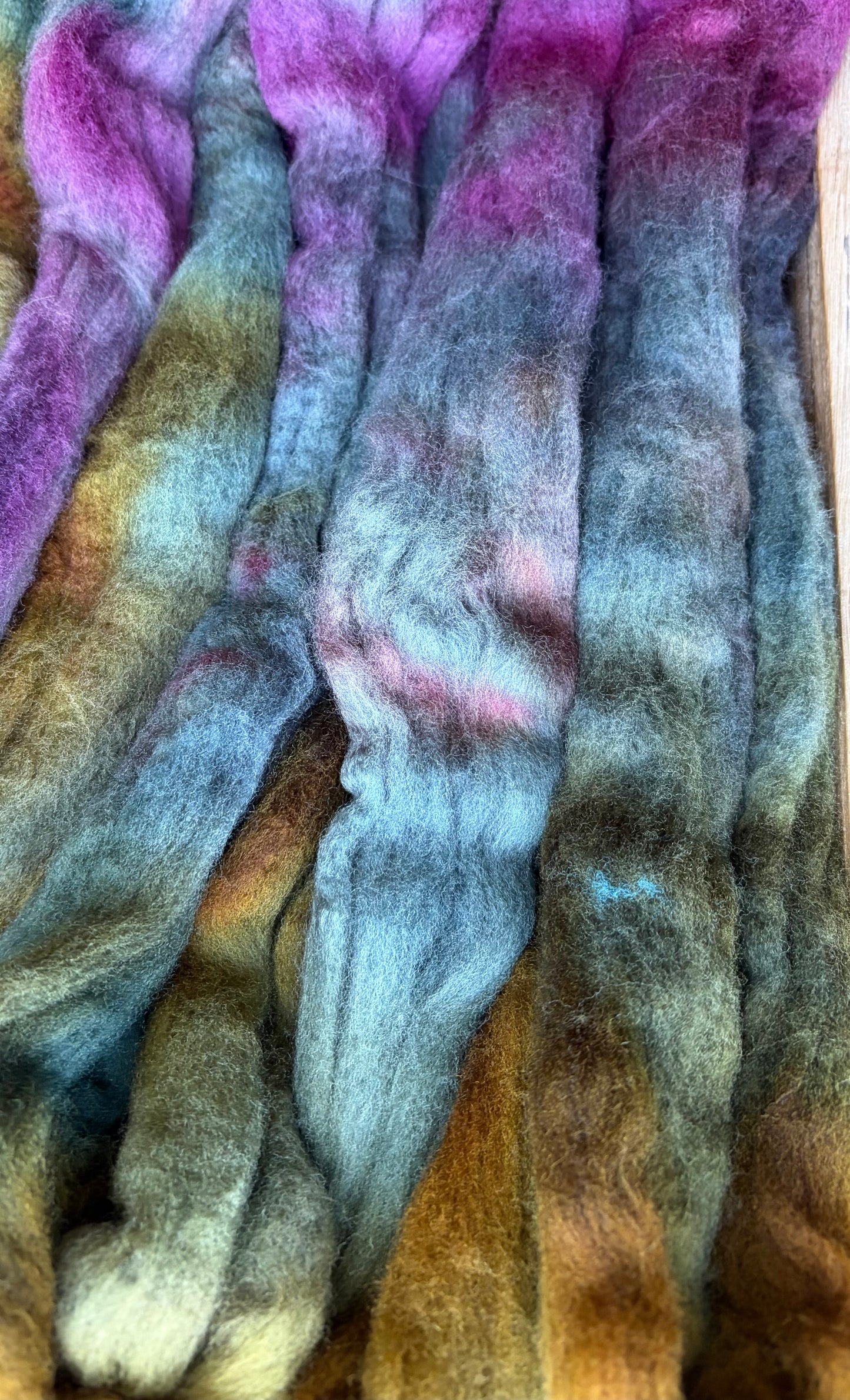 Targhee - 23 Micron - One of a Kind Batch - 100 grams of Spinning Fibre - Hand Dyed Combed Top
